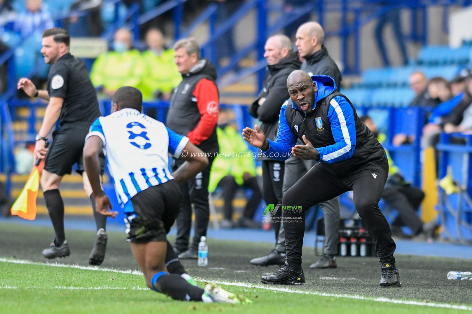 Darren Moore manager of Sheffield Wednesday reacts during the game