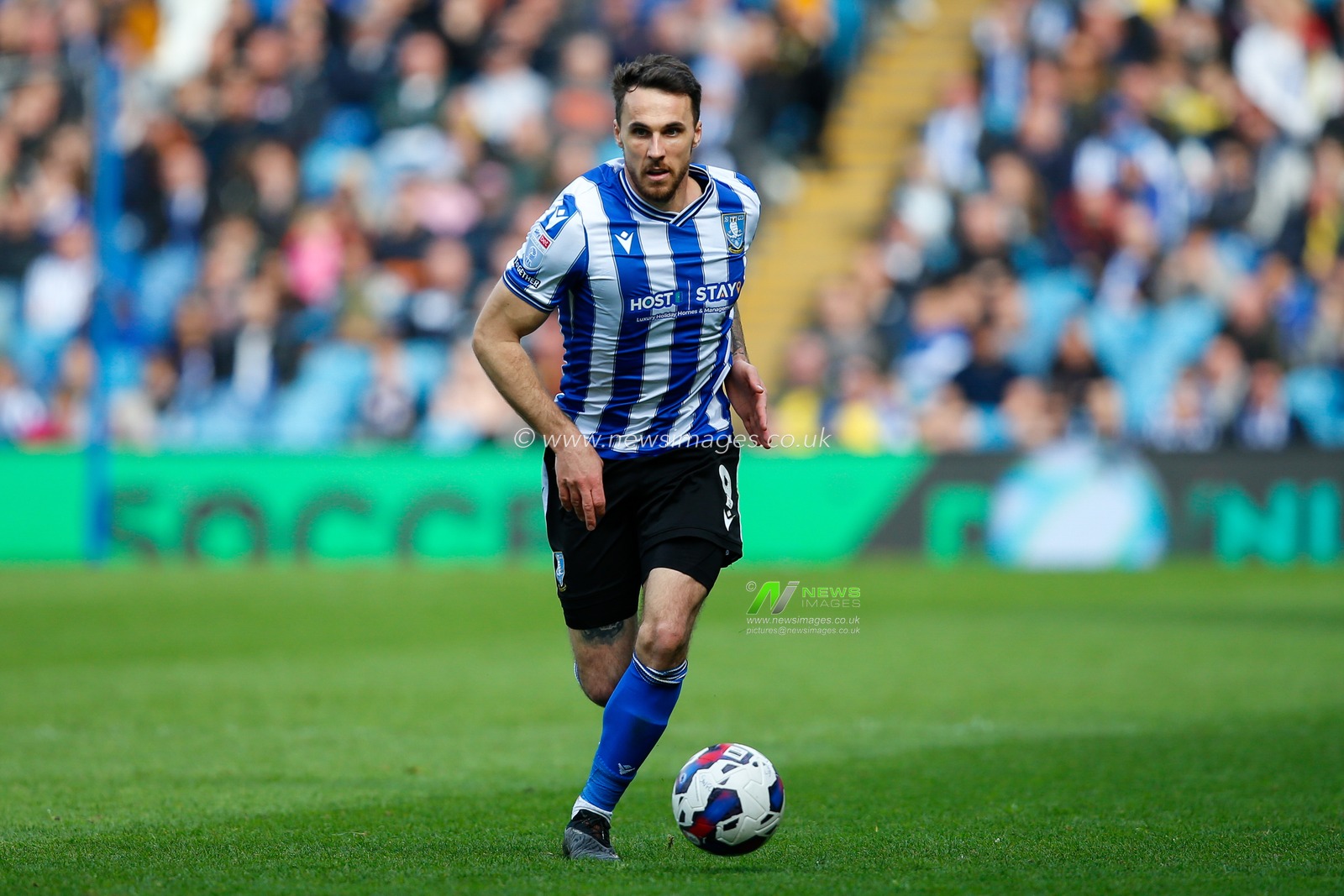 Lee Gregory #9 of Sheffield Wednesday during the Sky Bet League 1 match Sheffield Wednesday vs Exeter City at Hillsborough, Sheffield, United Kingdom, 22nd April 2023

(Photo by Ben Early/News Images)