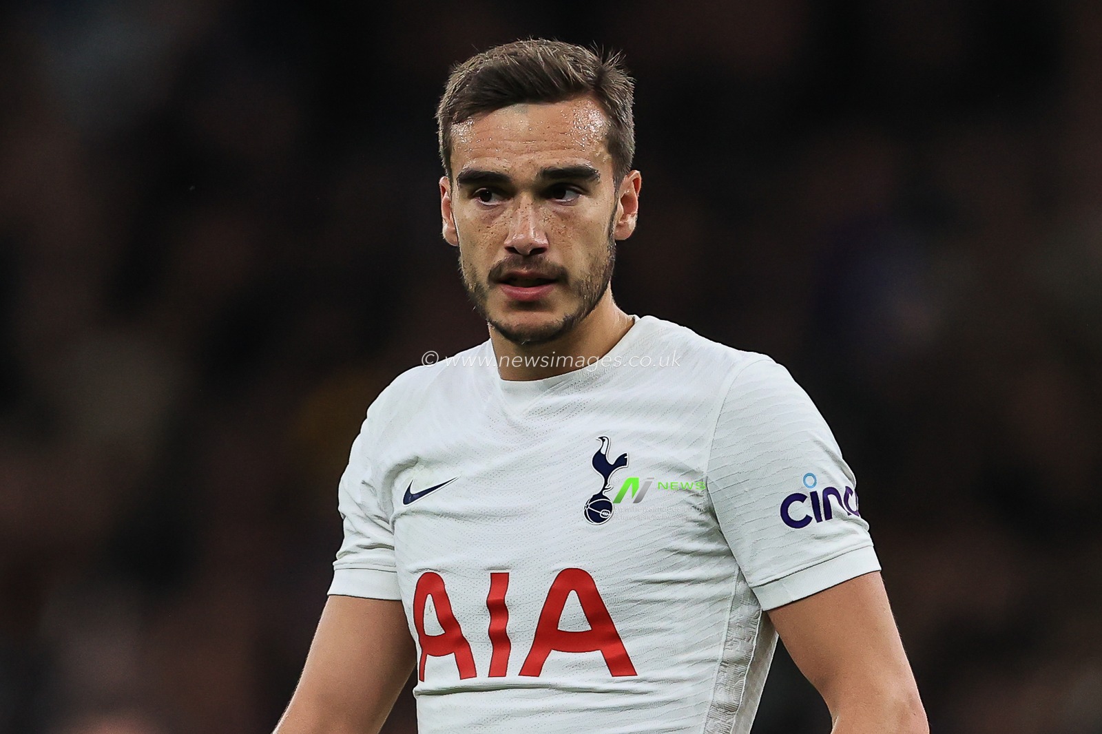 Harry Winks #8 of Tottenham Hotspur during the game