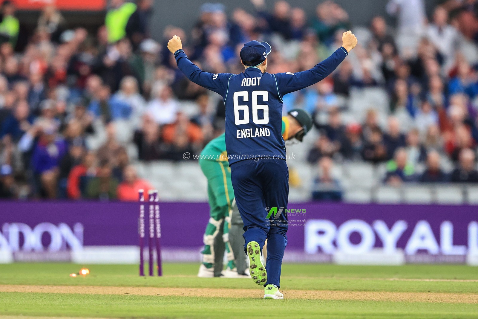 Joe Root of England celebrates with wicket of David Miller of South Africa