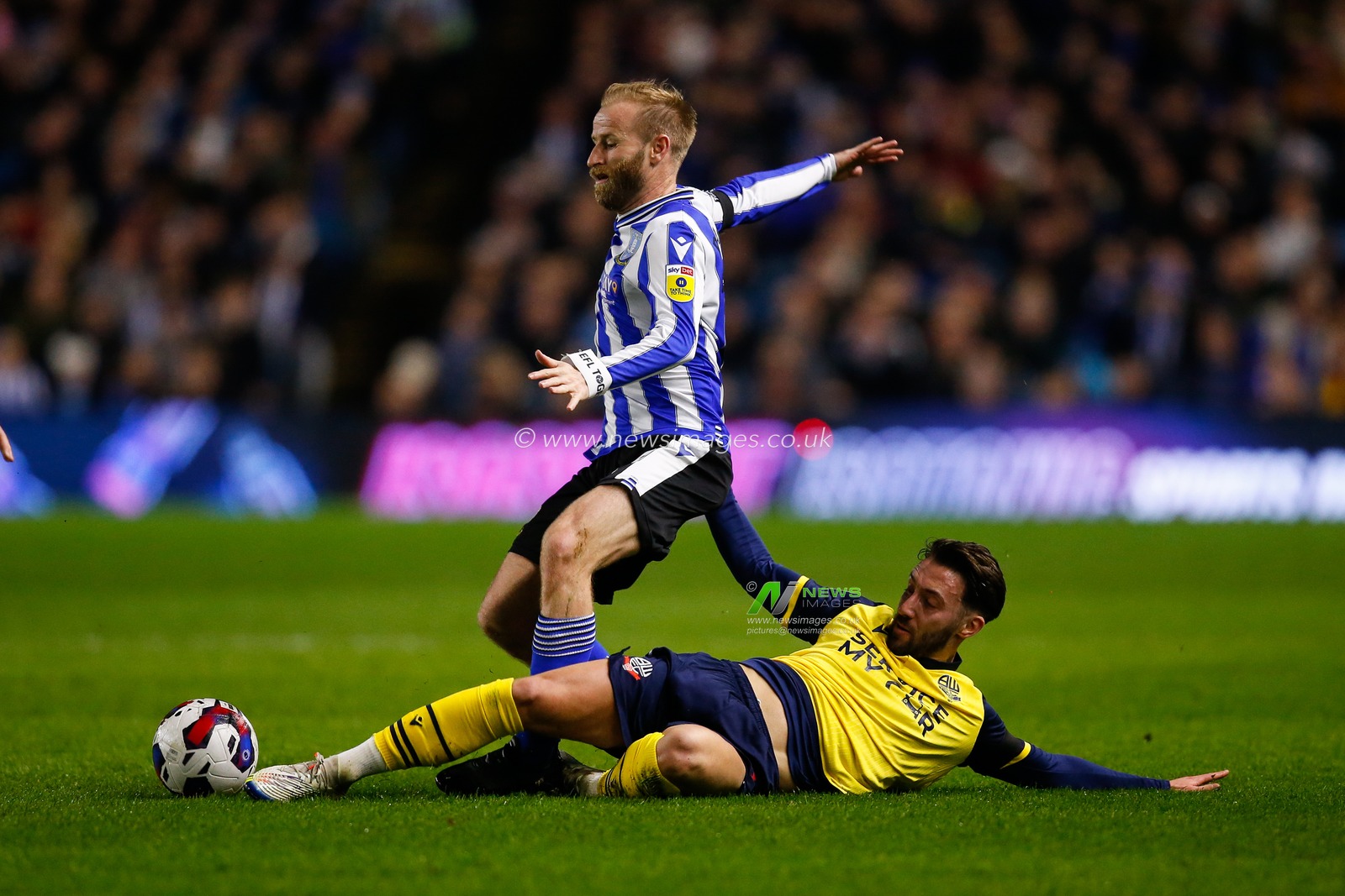 Barry Bannan #10 of Sheffield Wednesday and Josh Sheehan #8 of Bolton Wanderers during the Sky Bet League 1 match Sheffield Wednesday vs Bolton Wanderers at Hillsborough, Sheffield, United Kingdom, 17th March 2023

(Photo by Ben Early/News Images)