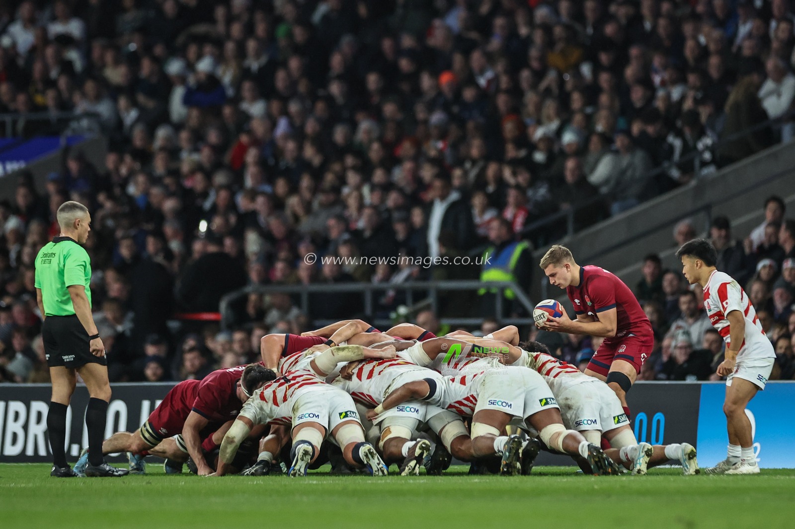 Jack van Poortvliet of England drops the ball into the scrum during the Autumn Nations Series match England vs Japan at Allianz Stadium, Twickenham, United Kingdom, 24th November 2024

(Photo by Mark Cosgrove/News Images)
