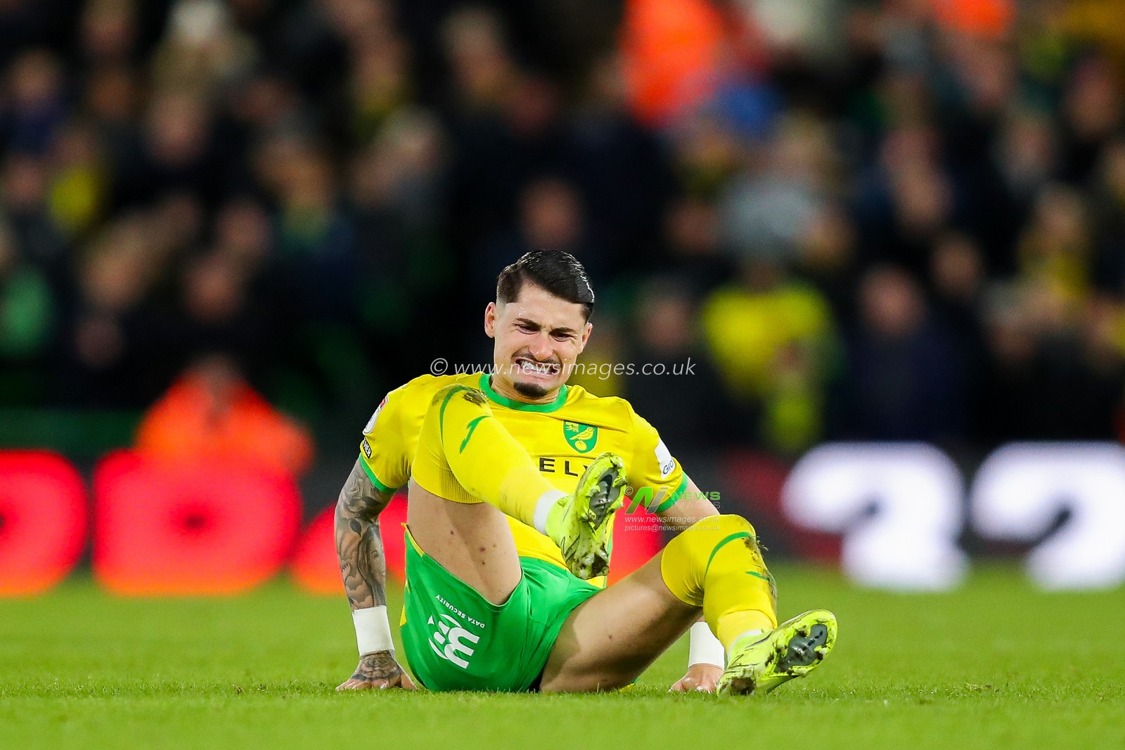 Borja Sainz of Norwich City goes down with injury during the Sky Bet Championship match Norwich City vs Burnley at Carrow Road, Norwich, United Kingdom, 15th December 2024

(Photo by Izzy Poles/News Images)