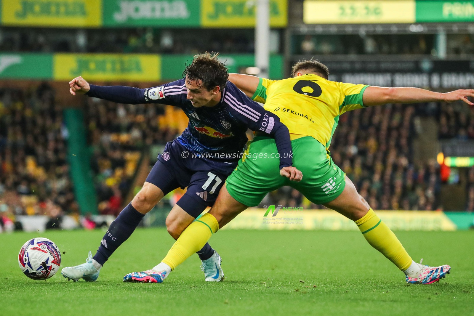Brenden Aaronson of Leeds United is put under pressure by Callum Doyle of Norwich City during the Sky Bet Championship match Norwich City vs Leeds United at Carrow Road, Norwich, United Kingdom, 1st October 2024

(Photo by Izzy Poles/News Images)