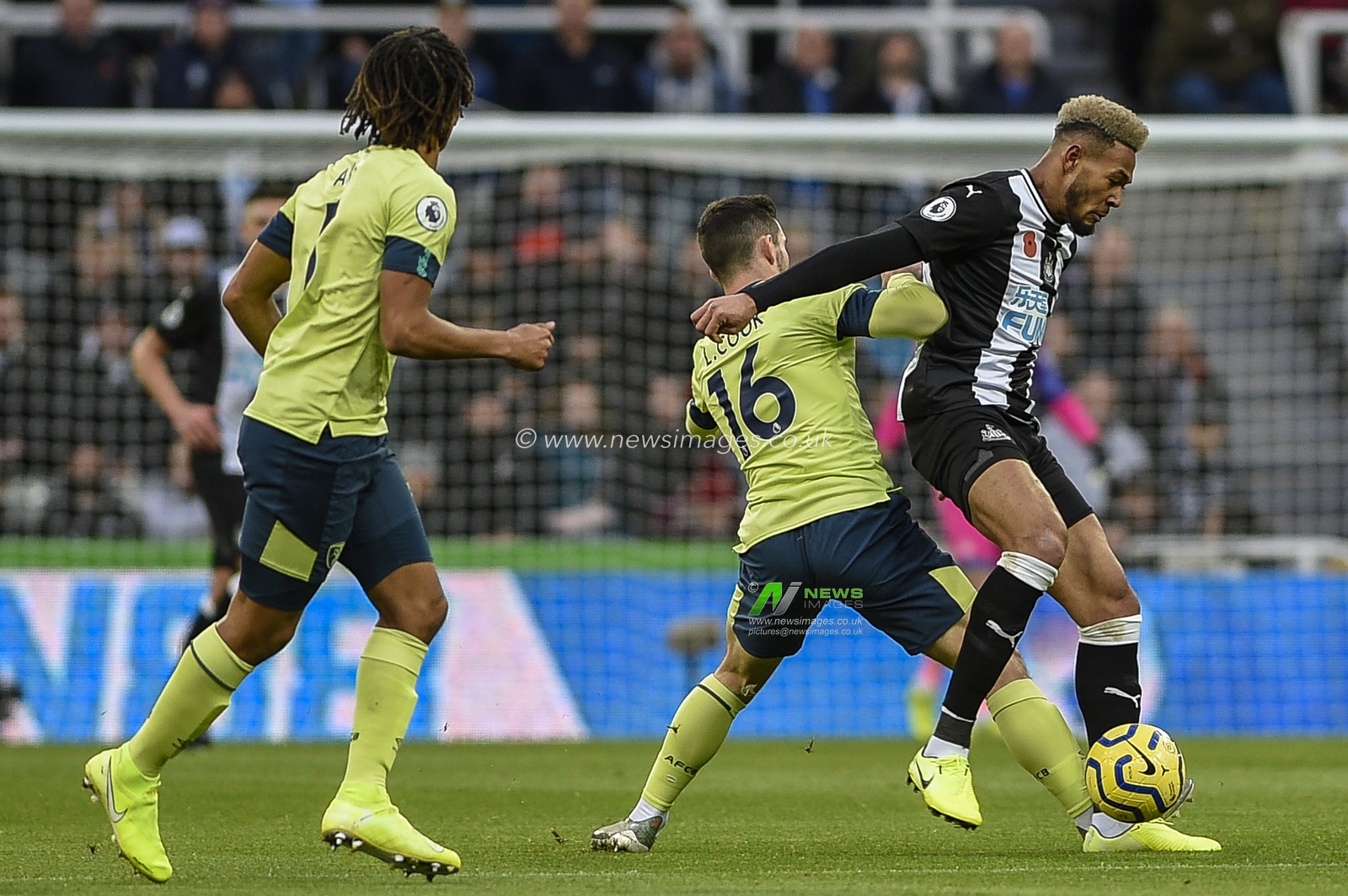 9th November 2019, St. James's Park, Newcastle, England; Premier League, Newcastle United v Bournemouth : Joelinton (9) of Newcastle United holds off Lewis Cook (16) of Bournemouth

Credit: Iam Burn/News Images