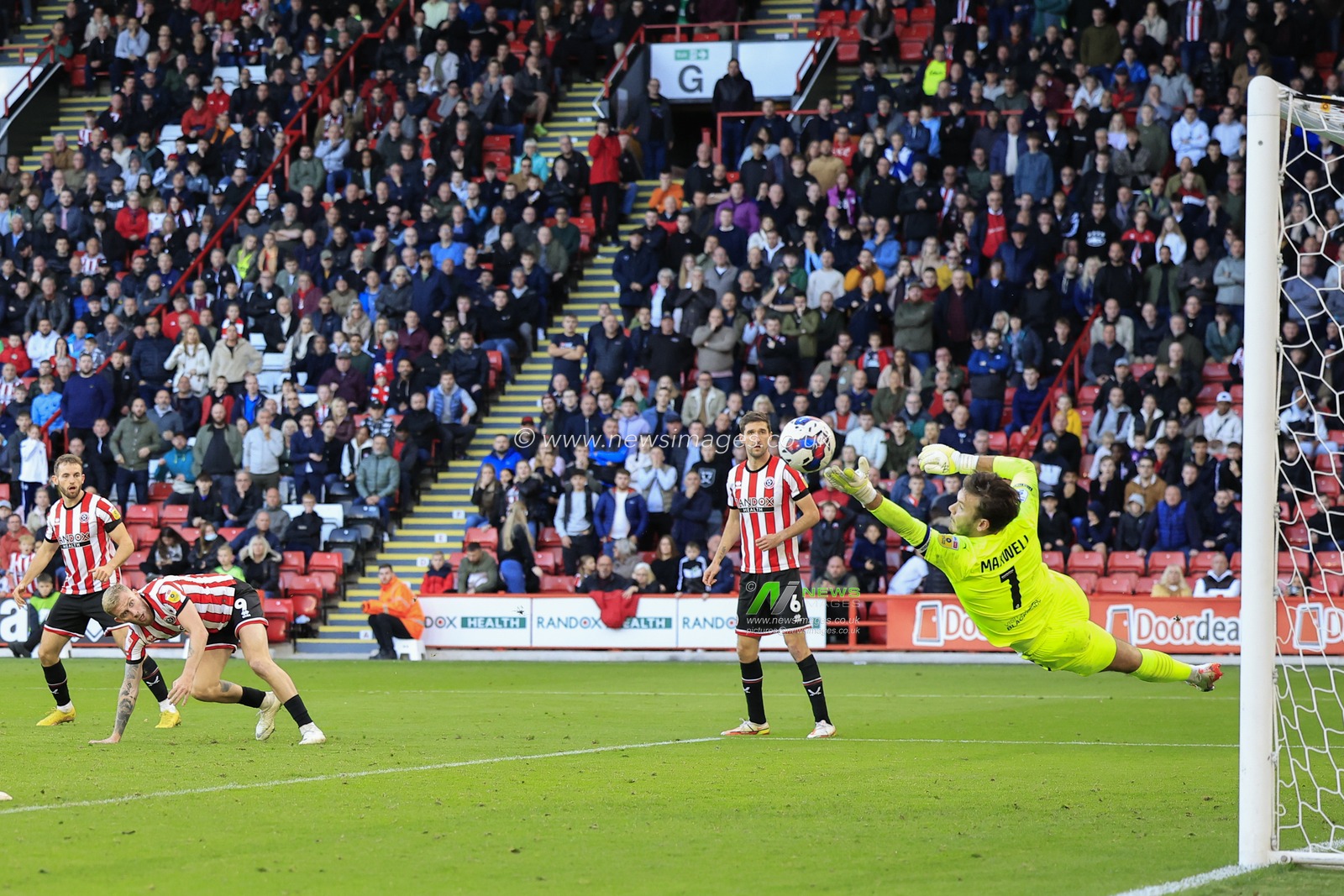 Chris Maxwell #1 of Blackpool makes a save from Oliver McBurnie #9 of Sheffield United during the Sky Bet Championship match Sheffield United vs Blackpool at Bramall Lane, Sheffield, United Kingdom, 15th October 2022

(Photo by Conor Molloy/News Images)