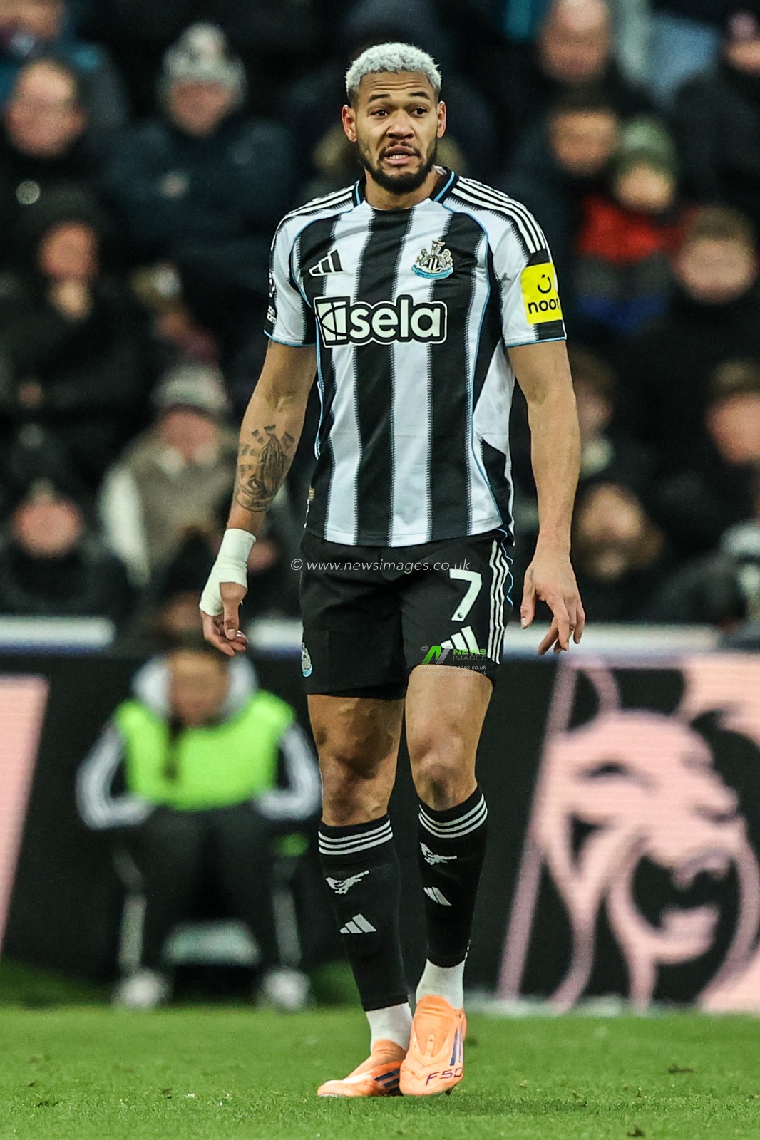 Joelinton of Newcastle United during the Premier League match Newcastle United vs Crystal Palace at St. James's Park, Newcastle, United Kingdom, 4th January 2026

(Photo by Alfie Cosgrove/News Images)

*** GER AUT SUI OUT ***