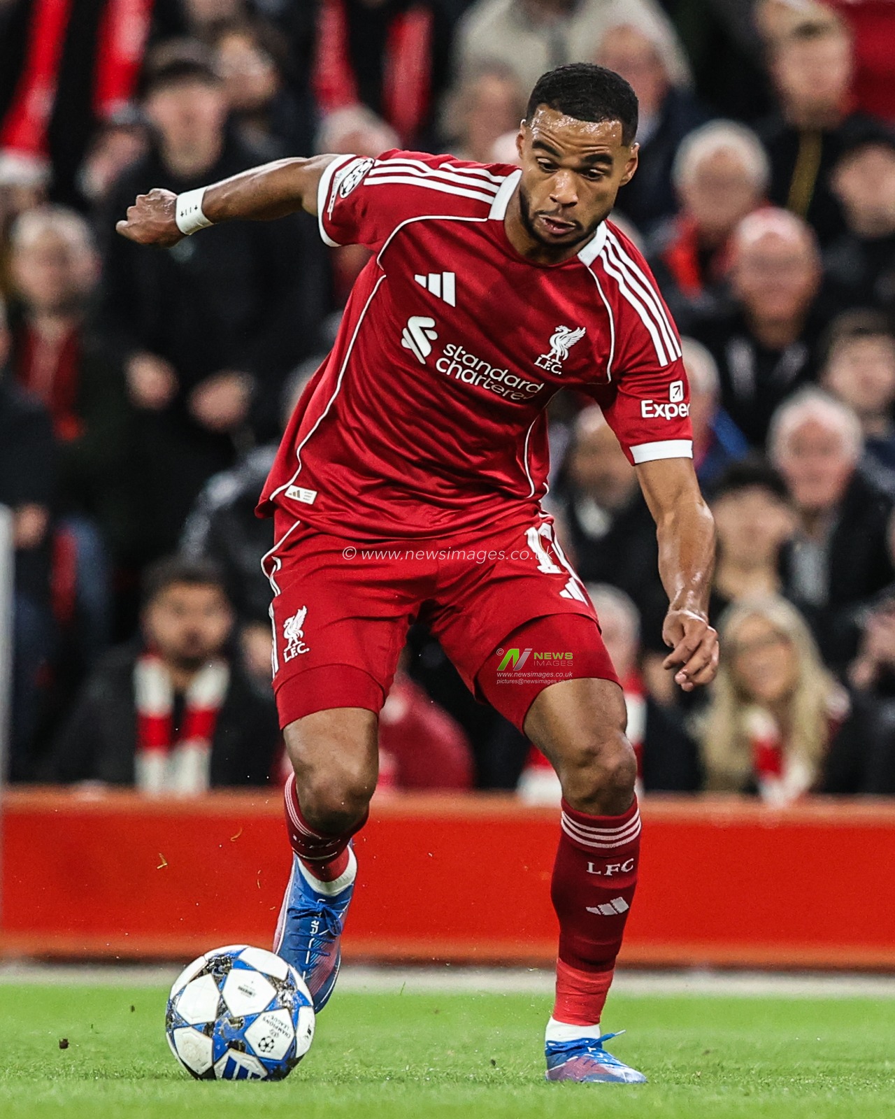 Cody Gakpo of Liverpool during the UEFA Champions League, League Stage Liverpool vs Atletico Madrid at Anfield, Liverpool, United Kingdom, 17th September 2025

(Photo by Alfie Cosgrove/News Images)