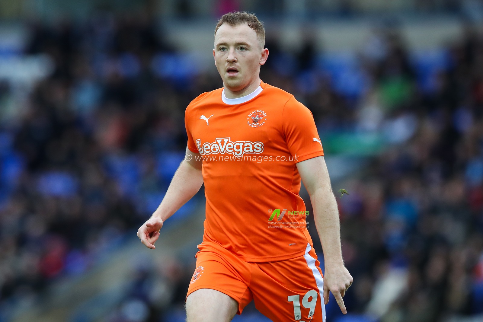 Shayne Lavery of Blackpool during the Sky Bet League 1 match Peterborough United vs Blackpool at Weston Homes Stadium, Peterborough, United Kingdom, 17th February 2024

(Photo by Gareth Evans/News Images)