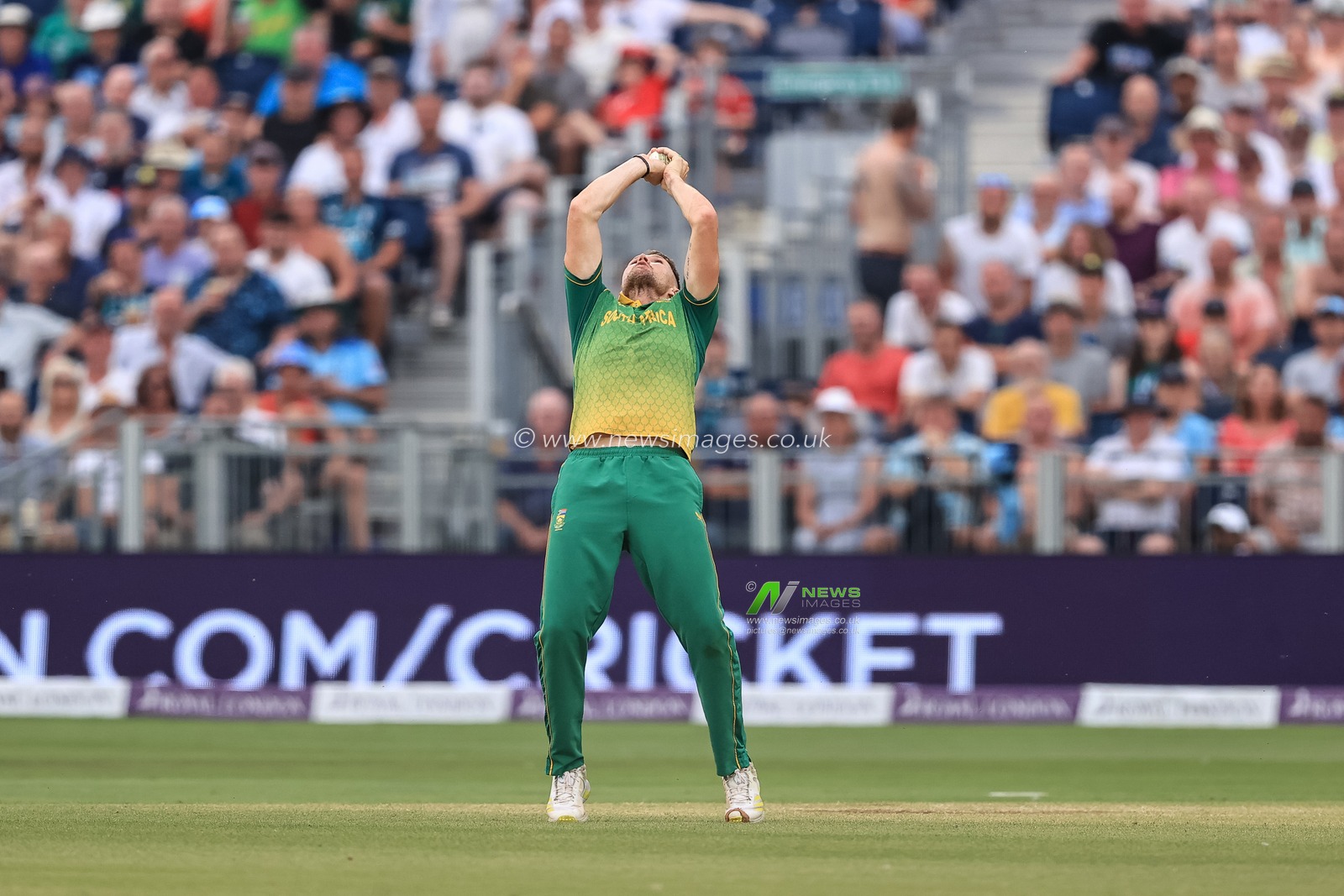 Dwaine Pretorius of South Africa catches Moeen Ali of England, out