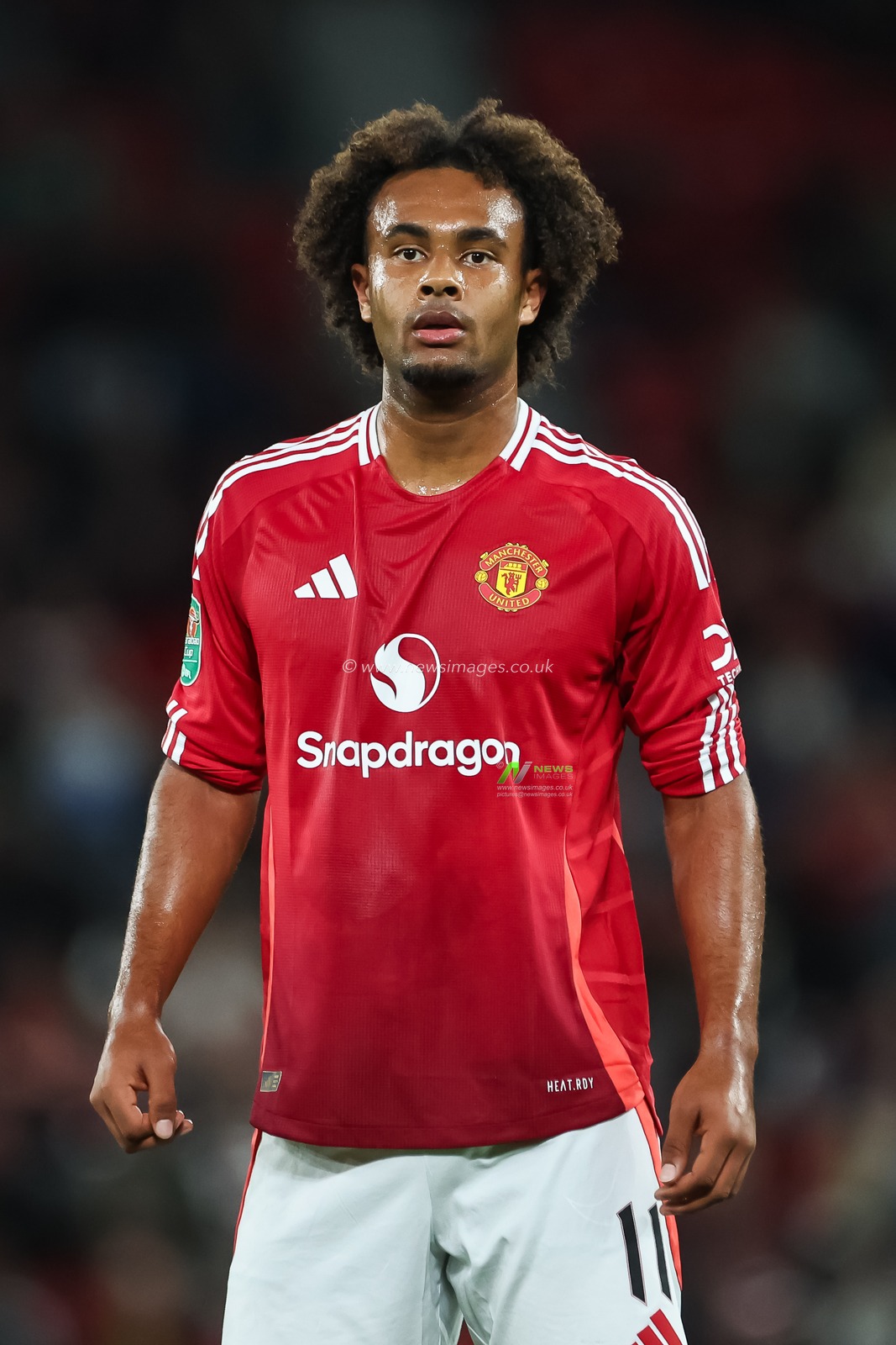 Joshua Zirkzee of Manchester United during the Carabao Cup 3rd Round match Manchester United vs Barnsley at Old Trafford, Manchester, United Kingdom, 17th September 2024

(Photo by Mark Cosgrove/News Images)