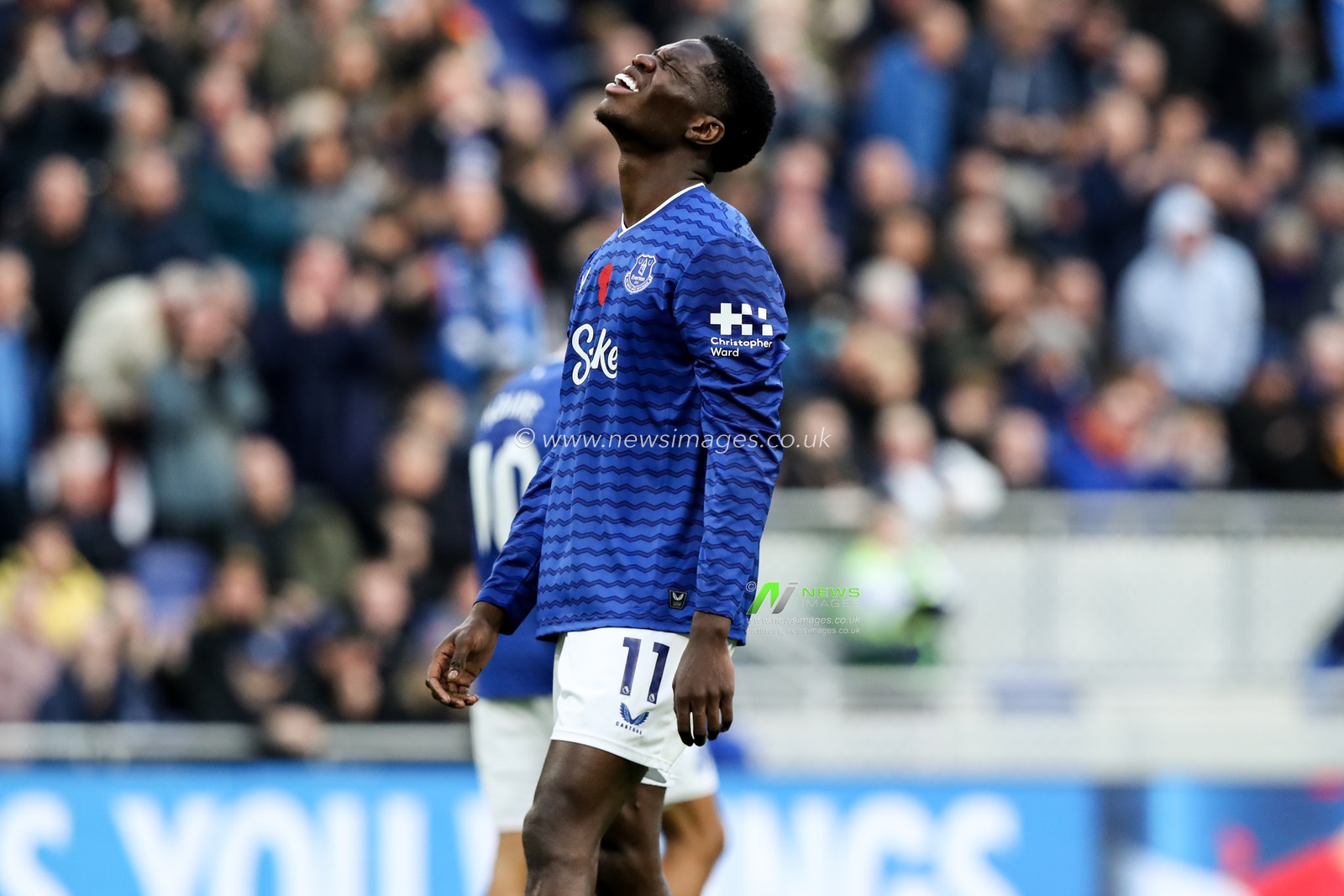 Thierno Barry of Everton dejected as his goal is ruled offside during the Premier League match Everton vs Fulham at Hill Dickinson Stadium, Liverpool, United Kingdom, 8th November 2025

(Photo by Jorge Horsted/News Images)

*** GER AUT SUI OUT ***