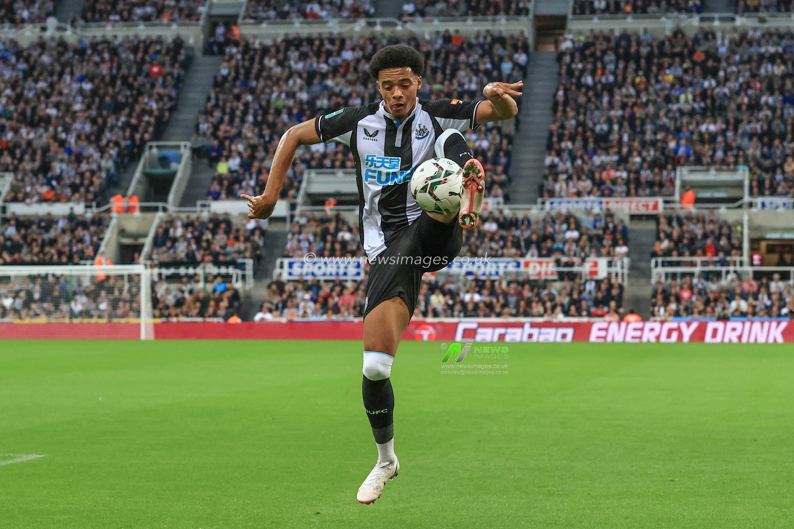 Jamal Lewis #12 of Newcastle United controls the ball