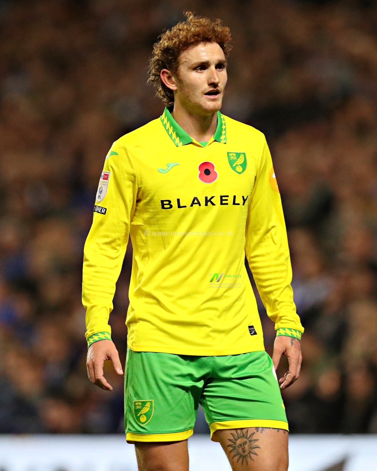 Joshua Sargent of Norwich City during the Sky Bet Championship match Sheffield Wednesday vs Norwich City at Hillsborough, Sheffield, United Kingdom, 5th November 2025(Photo by Sam Eaden/News Images)*** GER AUT SUI OUT ***