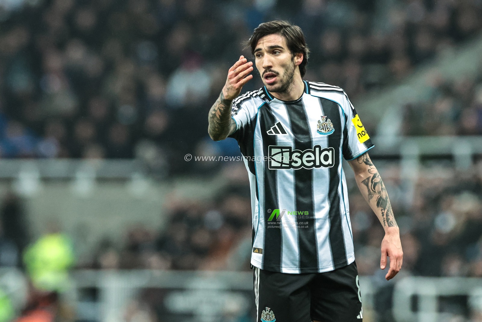 Sandro Tonali of Newcastle United reacts during the Premier League match Newcastle United vs Aston Villa at St. James's Park, Newcastle, United Kingdom, 25th January 2026

(Photo by Mark Cosgrove/News Images)