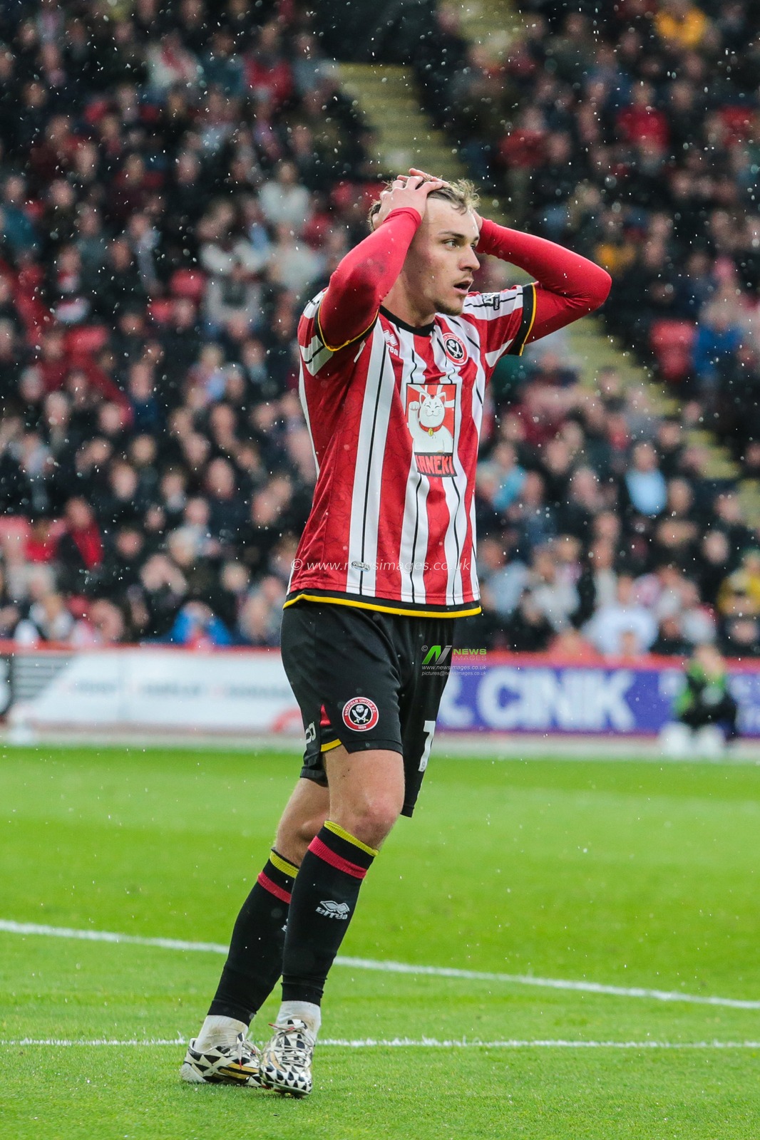 reacts after a missed chance on goal during the Sky Bet Championship match Sheffield United vs Cardiff City at Bramall Lane, Sheffield, United Kingdom, 18th April 2025

(Photo by Richard Bierton/News Images)