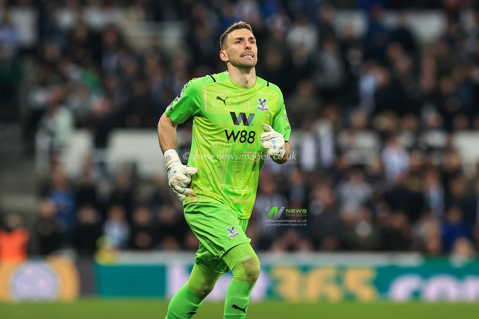 Vicente Guaita #13 of Crystal Palace during the game
