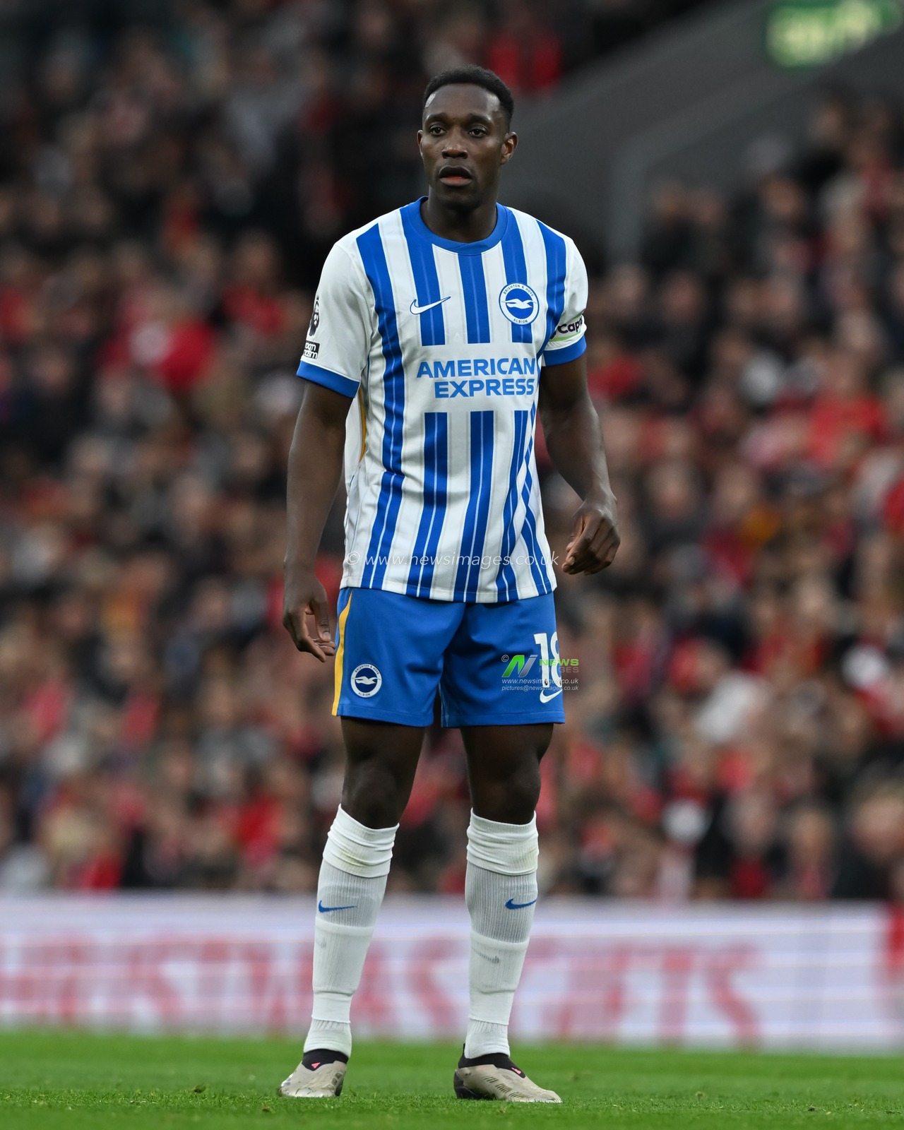 Danny Welbeck of Brighton & Hove Albion during the Premier League match Liverpool vs Brighton and Hove Albion at Anfield, Liverpool, United Kingdom, 2nd November 2024

(Photo by Cody Froggatt/News Images)