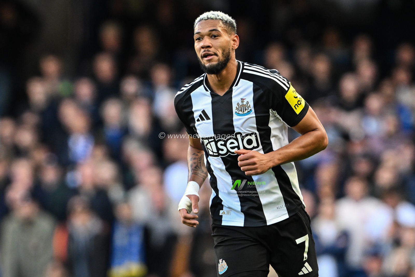 Joelinton of Newcastle United during the Premier League match Chelsea vs Newcastle United at Stamford Bridge, London, United Kingdom, 27th October 2024

(Photo by Cody Froggatt/News Images)