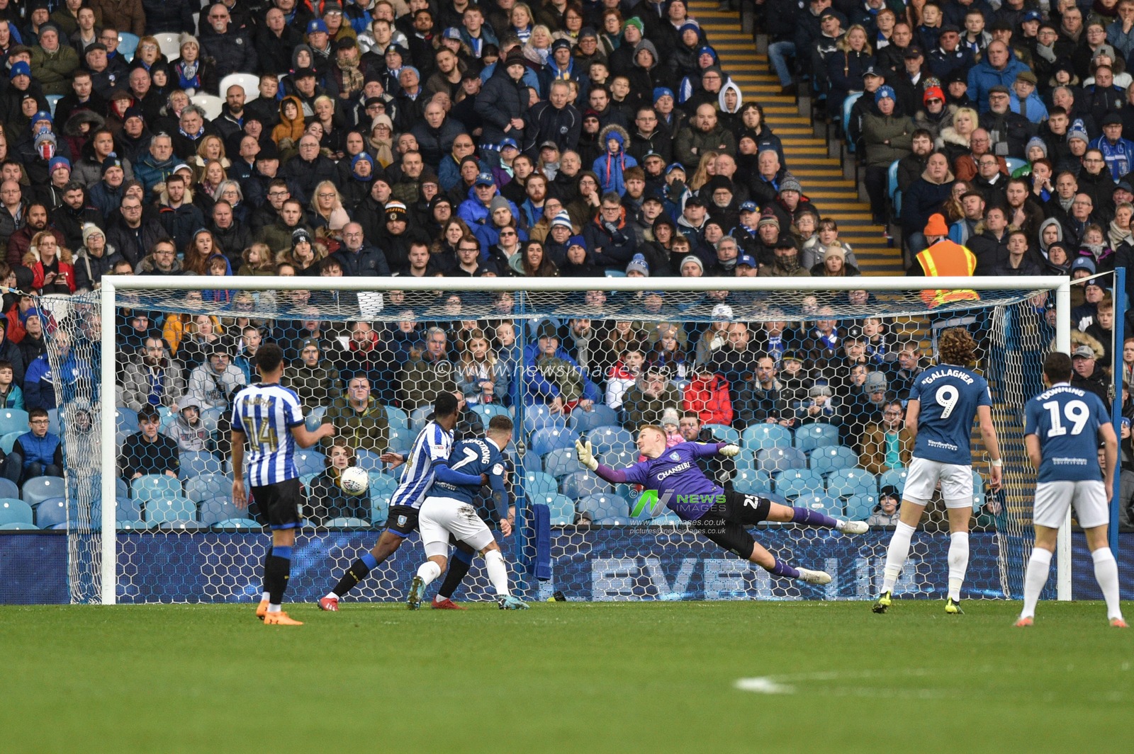 18th January 2020, Hillsborough, Sheffield, England; Sky Bet Championship, Sheffield Wednesday v Blackburn Rovers :Cameron Dawson (25) of Sheffield Wednesday fails to save the shot from Lewis Travis (27) of Blackburn Rovers who scores a goal to make it 0-2 to Blackburn Rovers.

Credit: Dean Williams/News Images