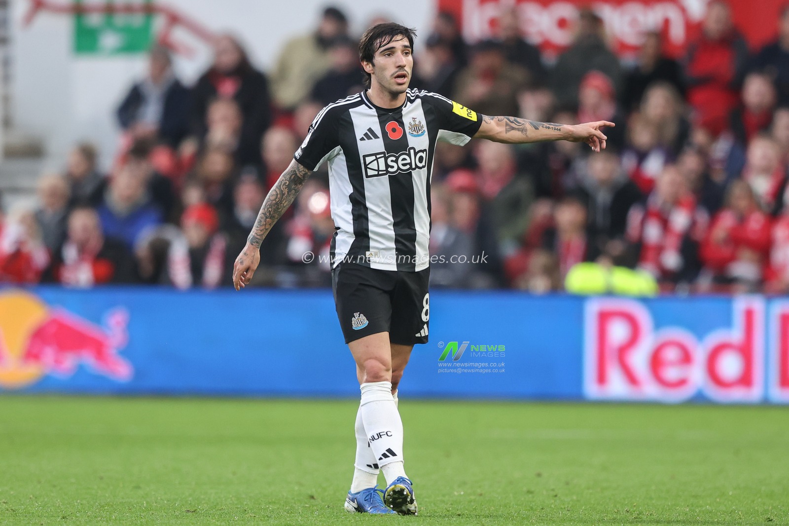 Sandro Tonali of Newcastle gives his team instructions during the Premier League match Nottingham Forest vs Newcastle United at City Ground, Nottingham, United Kingdom, 10th November 2024

(Photo by Alfie Cosgrove/News Images)