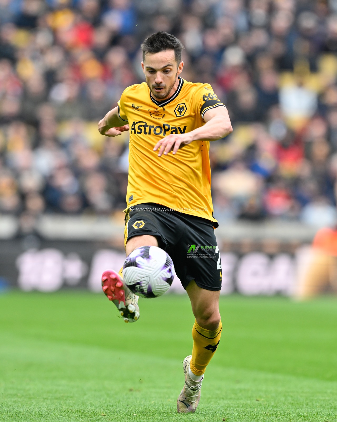 Pedro Neto of Wolverhampton Wanderers brings the ball under control, during the Premier League match Wolverhampton Wanderers vs Sheffield United at Molineux, Wolverhampton, United Kingdom, 25th February 2024

(Photo by Cody Froggatt/News Images)