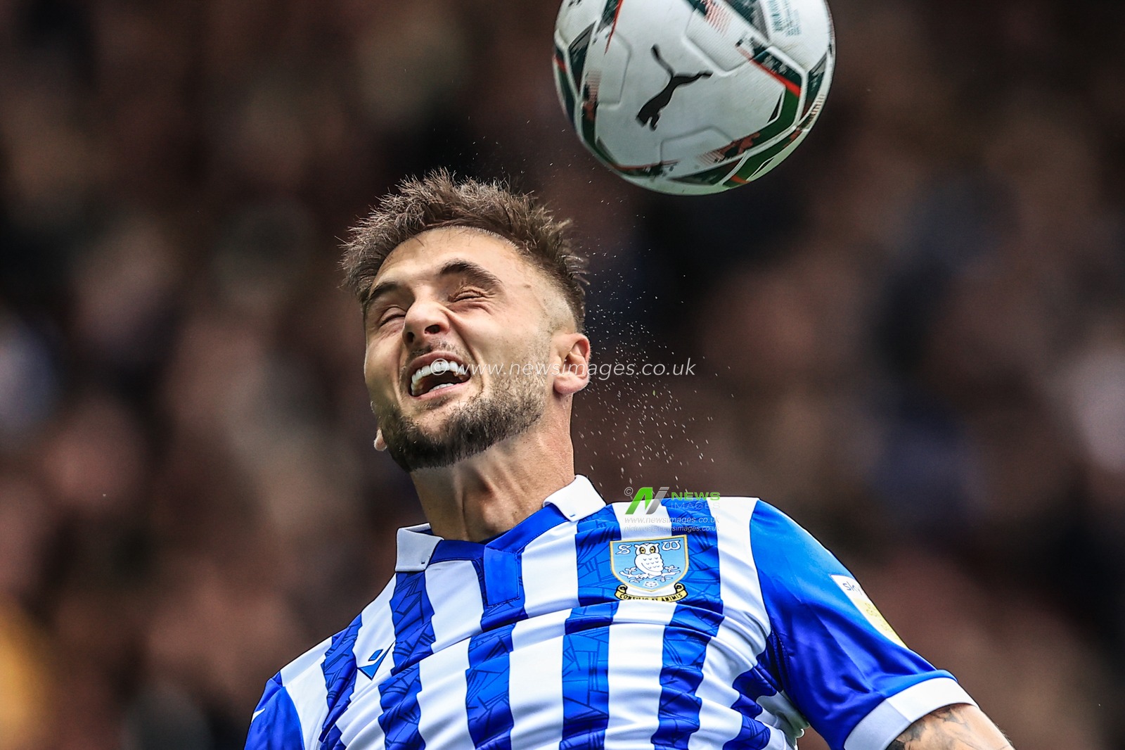 Lewis Wing #26 of Sheffield Wednesday heads the ball during the game