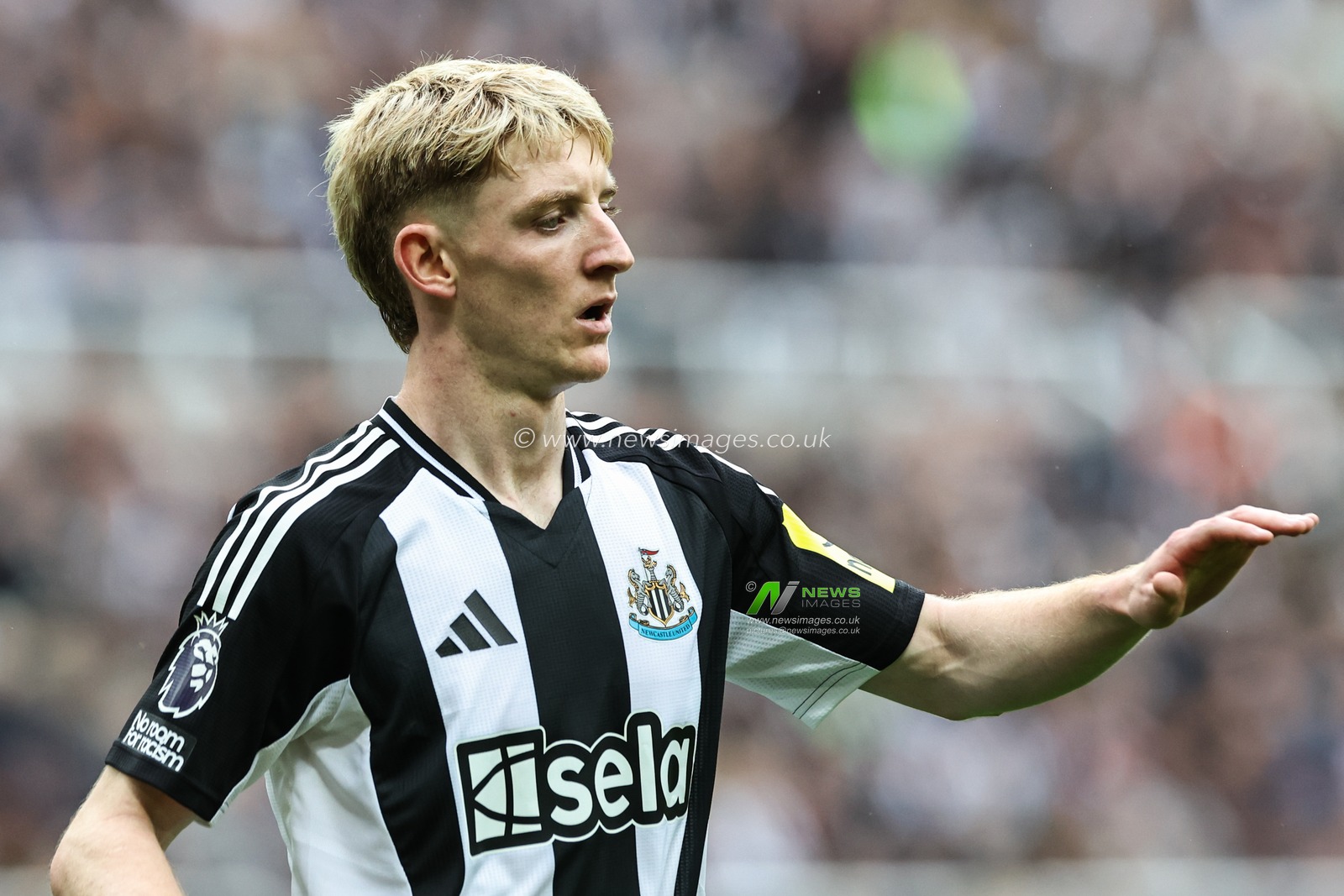 Anthony Gordon of Newcastle United during the Premier League match Newcastle United vs Tottenham Hotspur at St. James's Park, Newcastle, United Kingdom, 1st September 2024

(Photo by Mark Cosgrove/News Images)