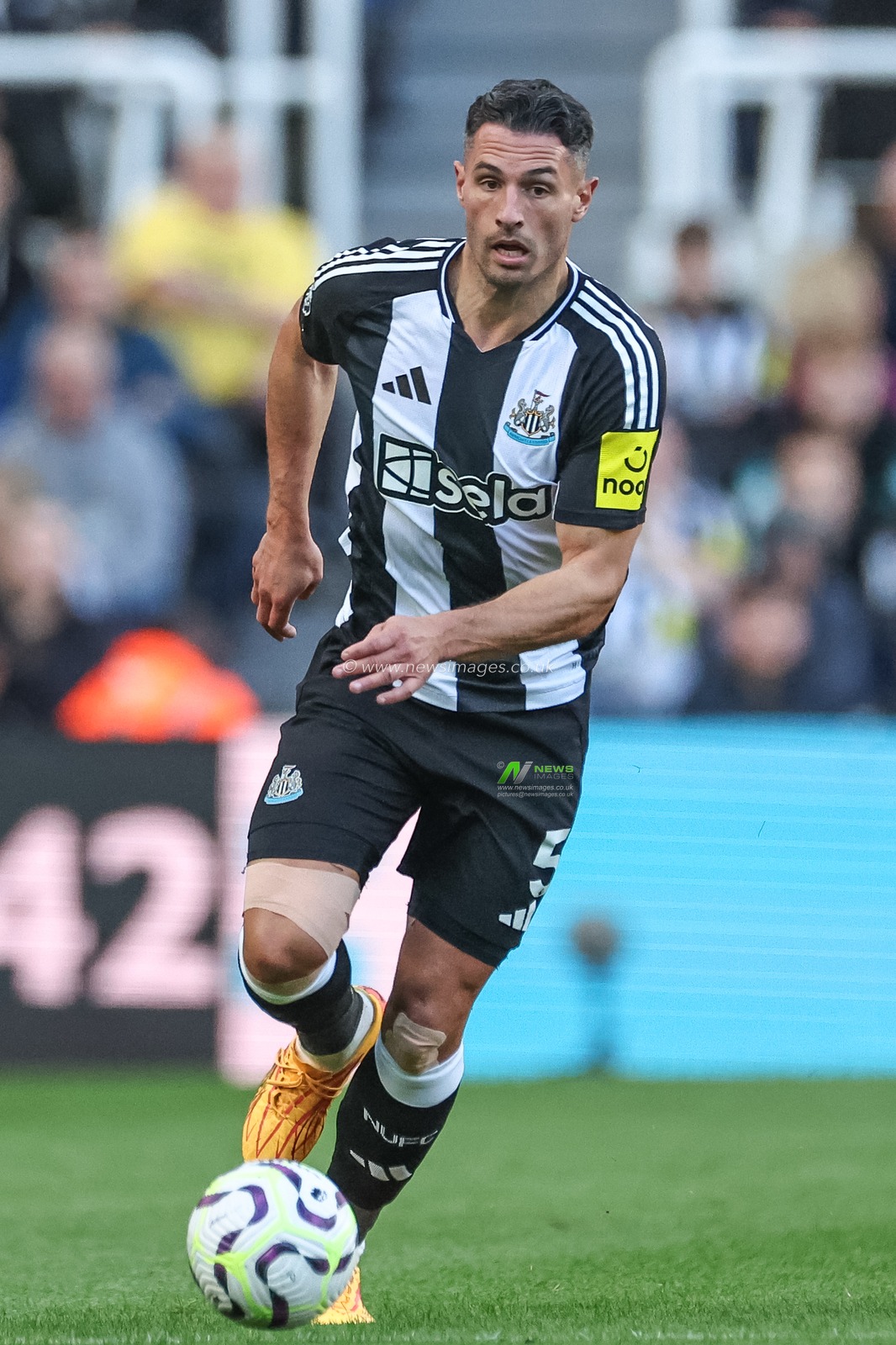 Fabian SchÃ¤r of Newcastle United with the ball during the Premier League match Newcastle United vs Brighton and Hove Albion at St. James's Park, Newcastle, United Kingdom, 19th October 2024

(Photo by Mark Cosgrove/News Images)