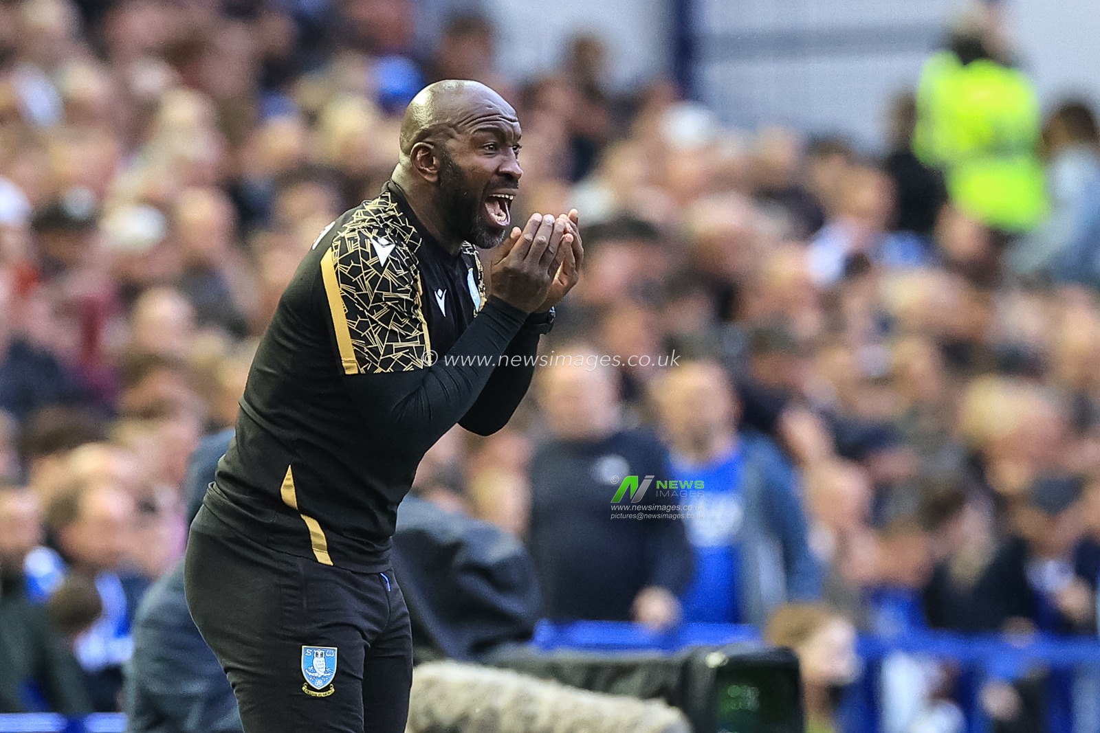 Darren Moore manager of Sheffield Wednesday gives his team instructions