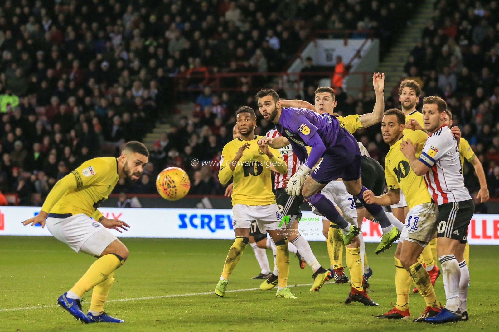 29th December 2018, Bramall Lane, Sheffield, England; Sky Bet Championship, Sheffield United vs Blackburn ; David Raya (01) of Blackburn punches the ball clear 


Credit: Mark Cosgrove/News Images

English Football League images are subject to DataCo Licence