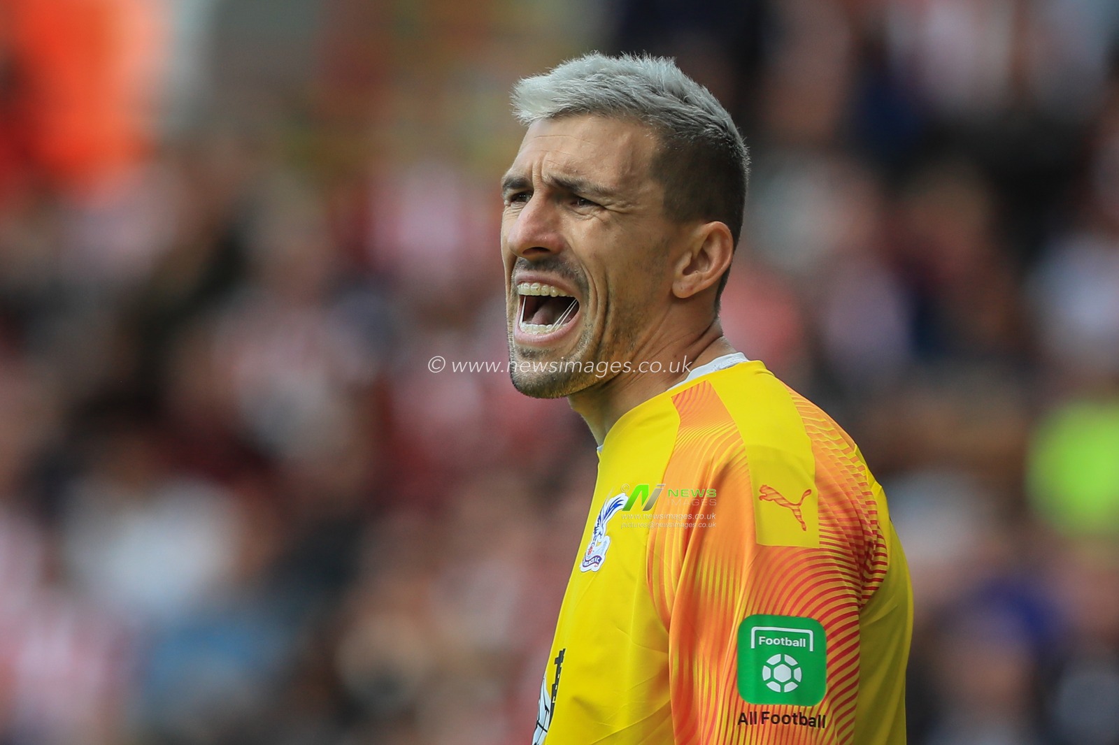 18th August 2019 , Bramall Lane, Sheffield, England; Premier League Football, Sheffield United vs Crystal Palace ; Vicente Guaita (31) of Crystal Palace gets vocal with his defensive line


Credit: Mark Cosgrove/News Images

English Football League images are subject to DataCo Licence