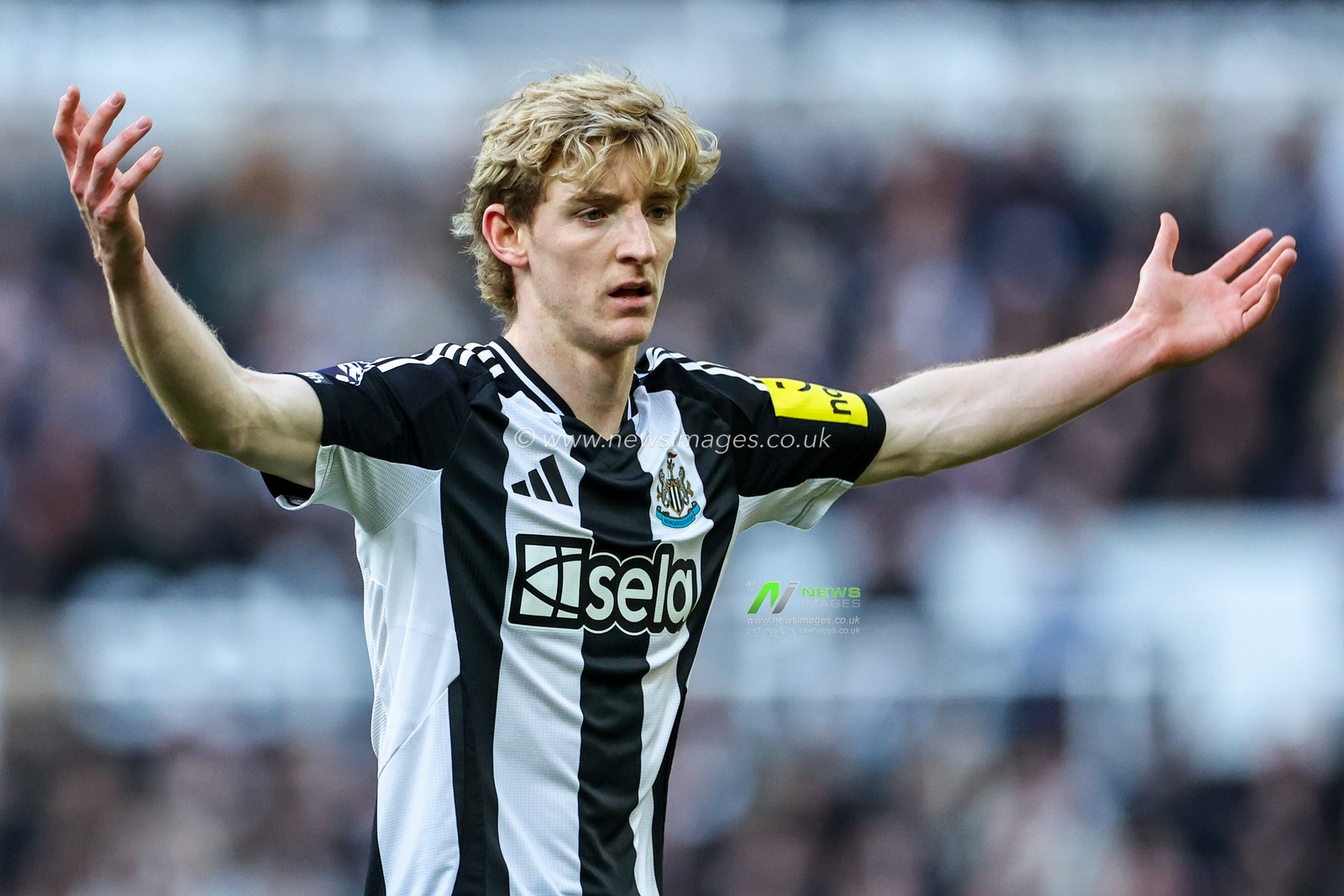 Anthony Gordon of Newcastle United reacts during the Premier League match Newcastle United vs Fulham at St. James's Park, Newcastle, United Kingdom, 1st February 2025

(Photo by Mark Cosgrove/News Images)