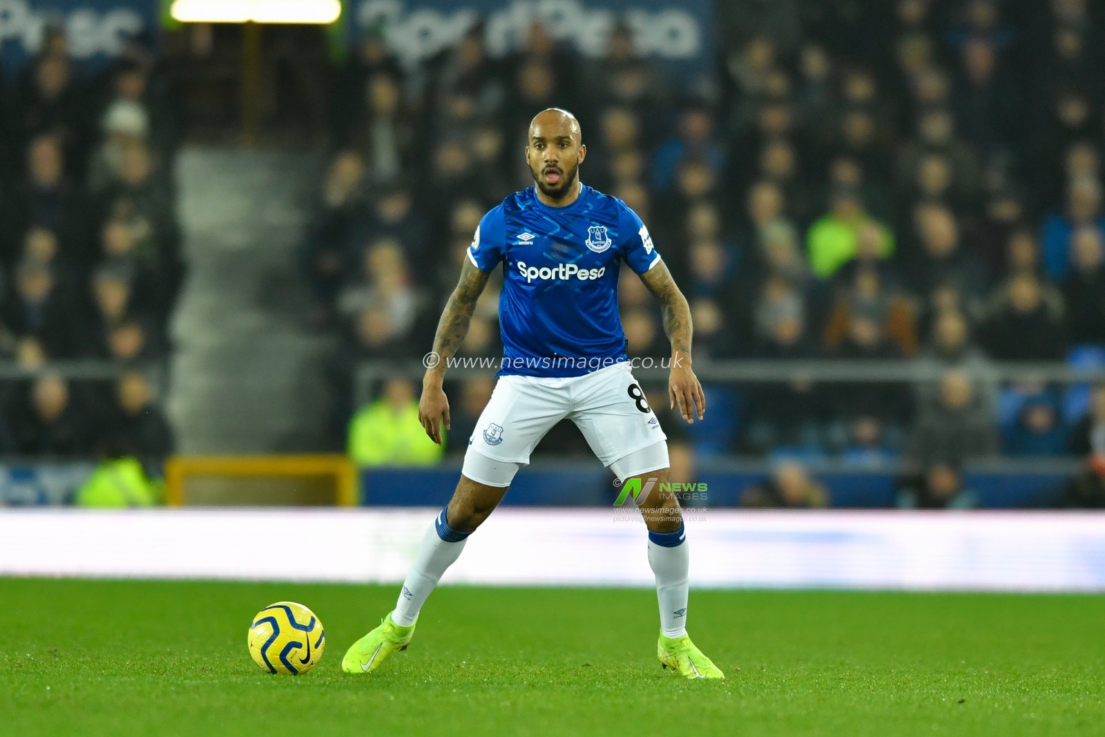 21st January 2020, Goodison Park, Liverpool, England; Premier League, Everton v Newcastle United : Fabian Delph (8) of Everton in action