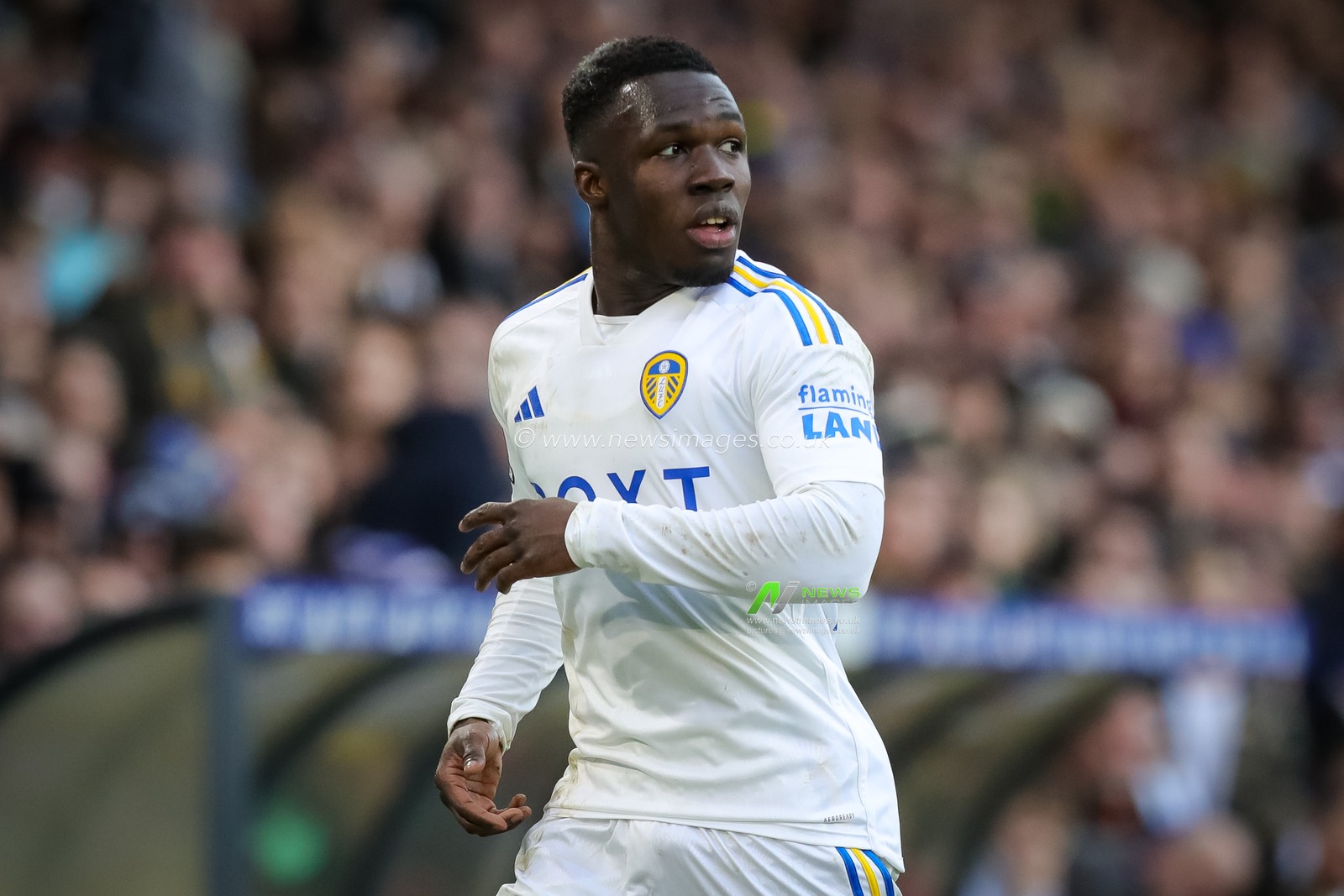 Wilfried Gnonto of Leeds United during the Emirates FA Cup  Fourth Round match Leeds United vs Plymouth Argyle at Elland Road, Leeds, United Kingdom, 27th January 2024

(Photo by James Heaton/News Images)
