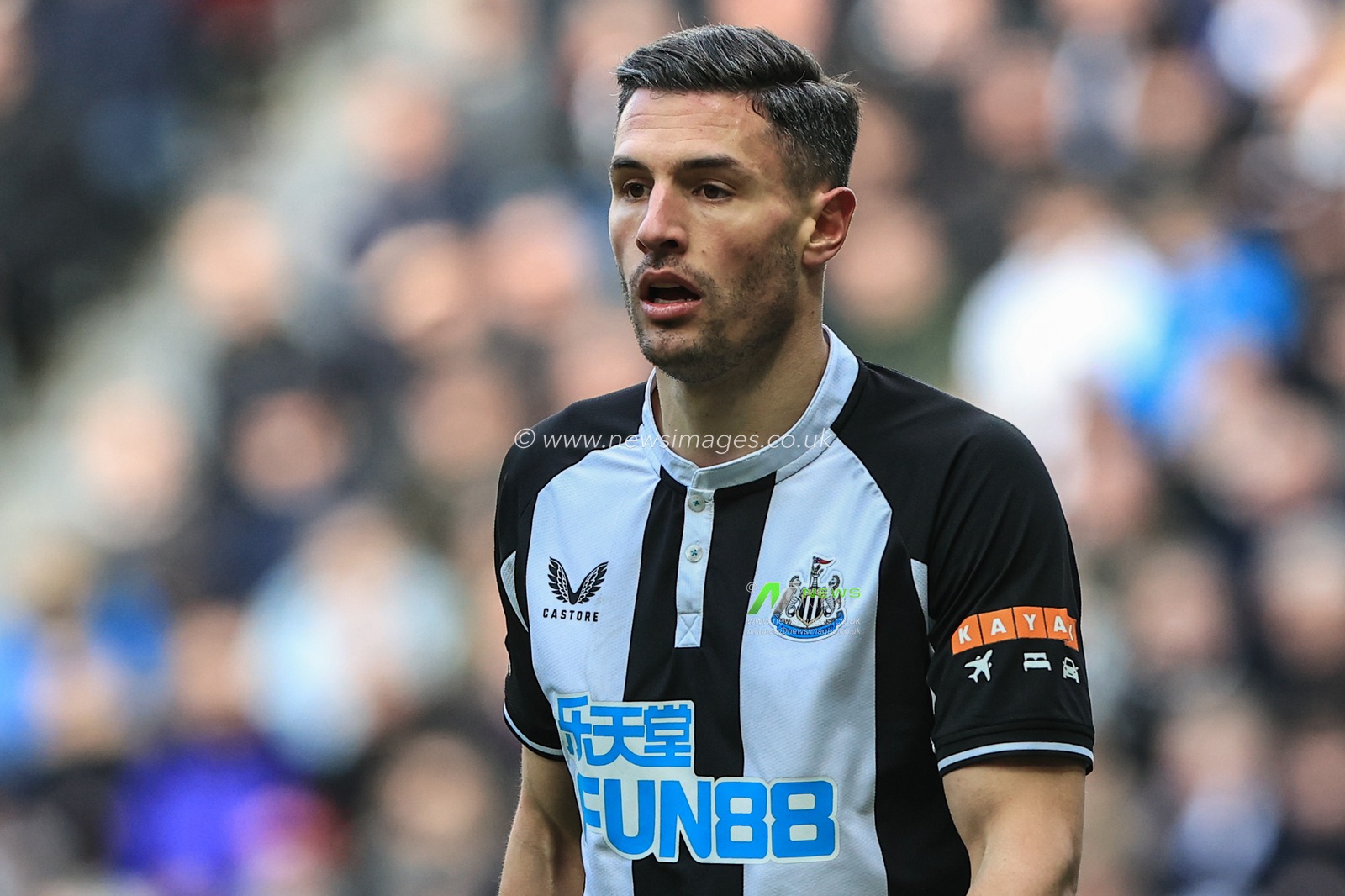 Fabian SchÃ¤r #5 of Newcastle United during the game