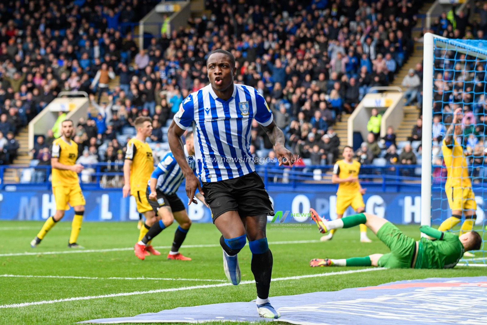 Dennis Adeniran #8 of Sheffield Wednesday celebrates scoring a goal to make it 1-0