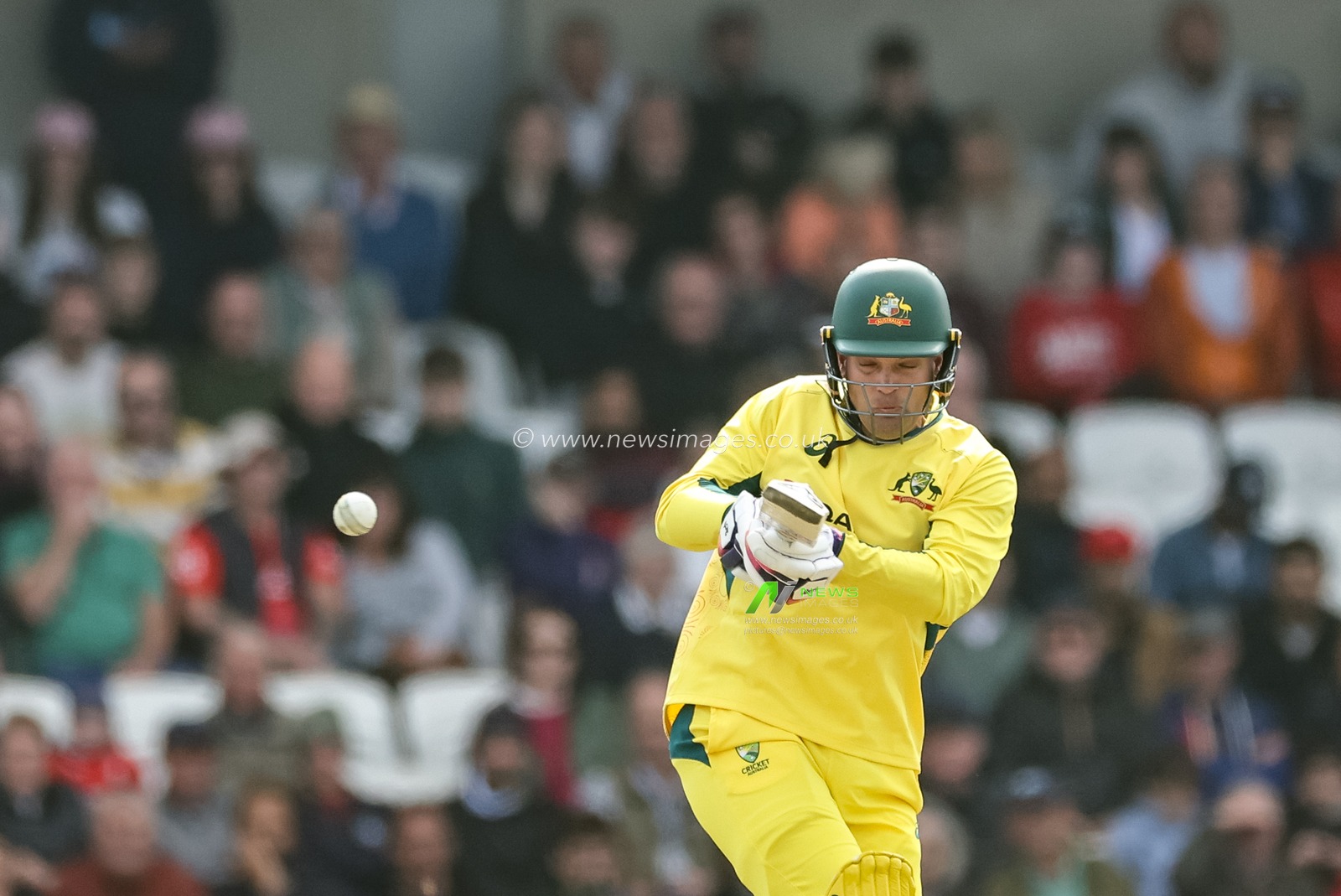 Alex Carey of Australia in action during the Second Metro Bank One Day International England v Australia at Headingley Cricket Ground, Leeds, United Kingdom, 21st September 2024

(Photo by Mark Cosgrove/News Images)