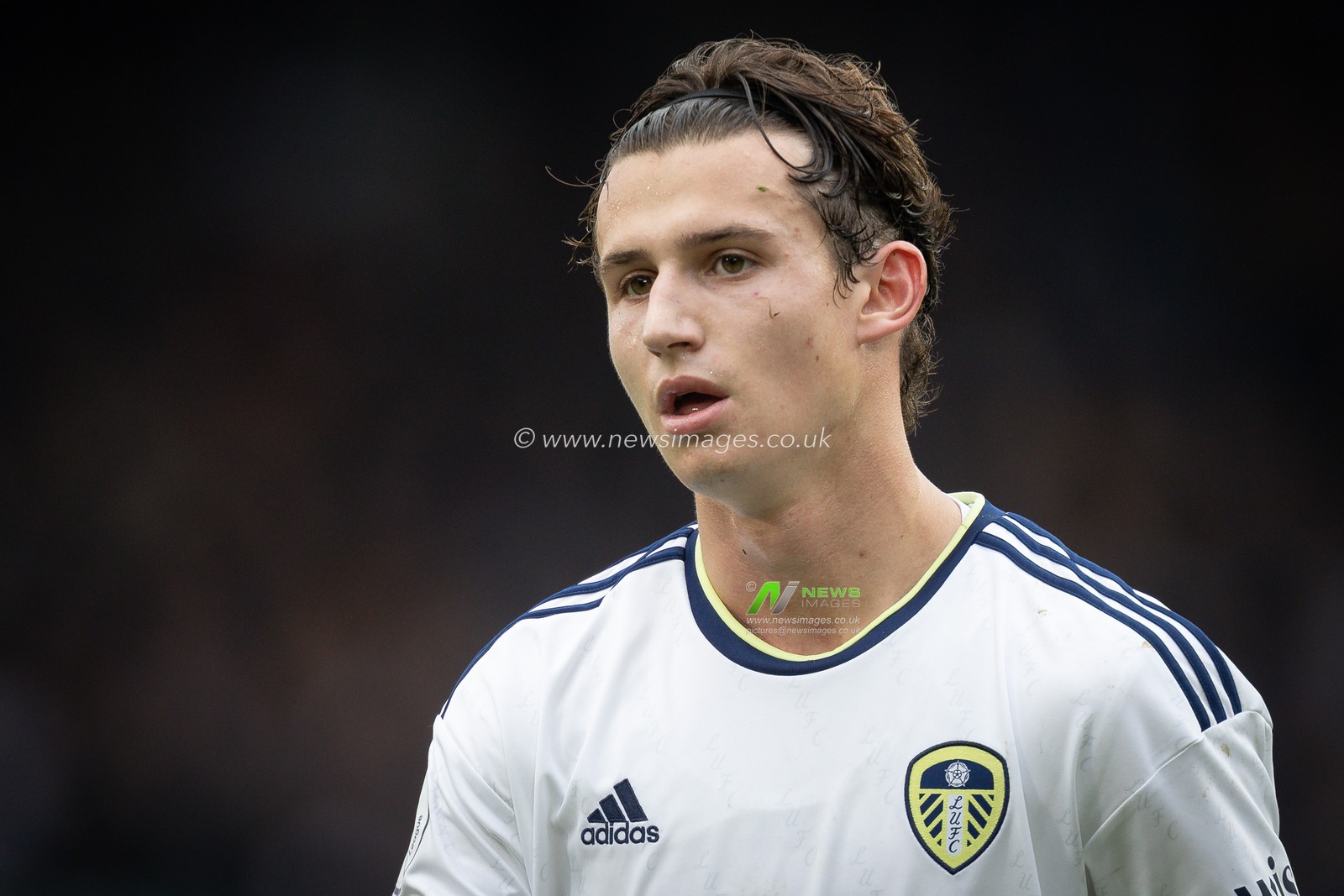 Brenden Aaronson #7 of Leeds United during the Premier League match Leeds United vs Fulham at Elland Road, Leeds, United Kingdom, 23rd October 2022

(Photo by James Heaton/News Images)
