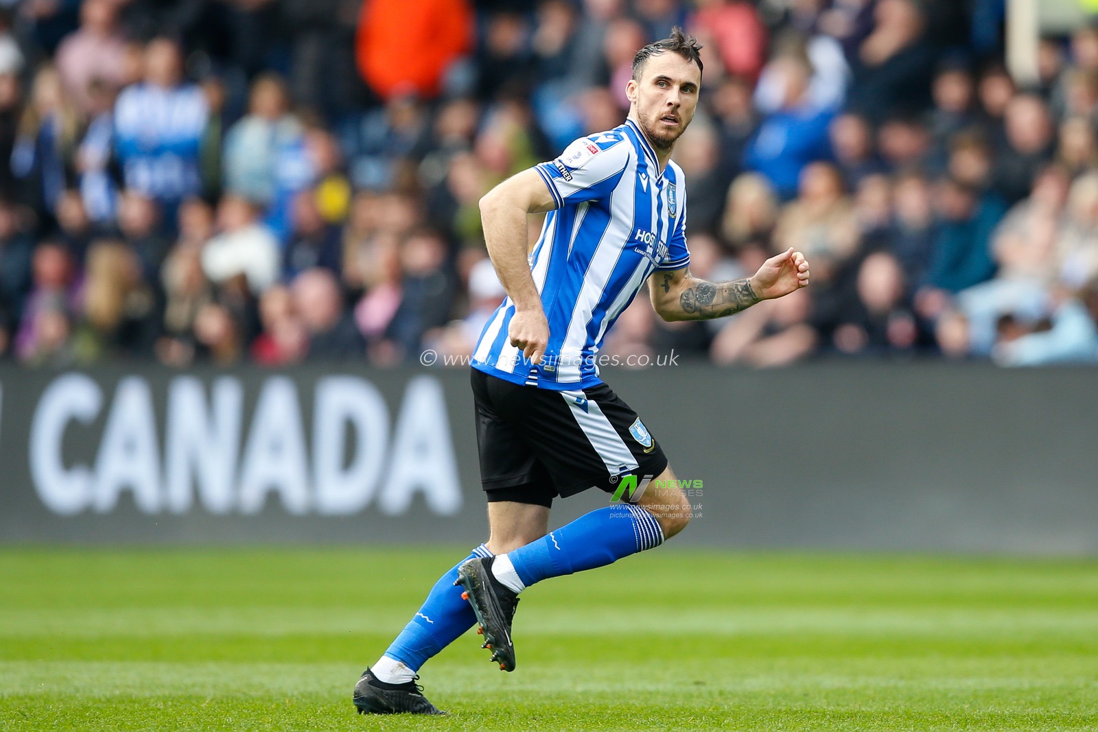 Lee Gregory #9 of Sheffield Wednesday during the Sky Bet League 1 match Sheffield Wednesday vs Exeter City at Hillsborough, Sheffield, United Kingdom, 22nd April 2023

(Photo by Ben Early/News Images)