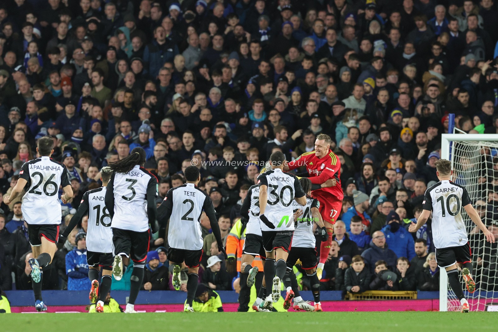 Fulham players celebrate their teams win on penalty shootout in the Carabao Cup Quarter Final match Everton vs Fulham at Goodison Park, Liverpool, United Kingdom, 19th December 2023

(Photo by Mark Cosgrove/News Images)
