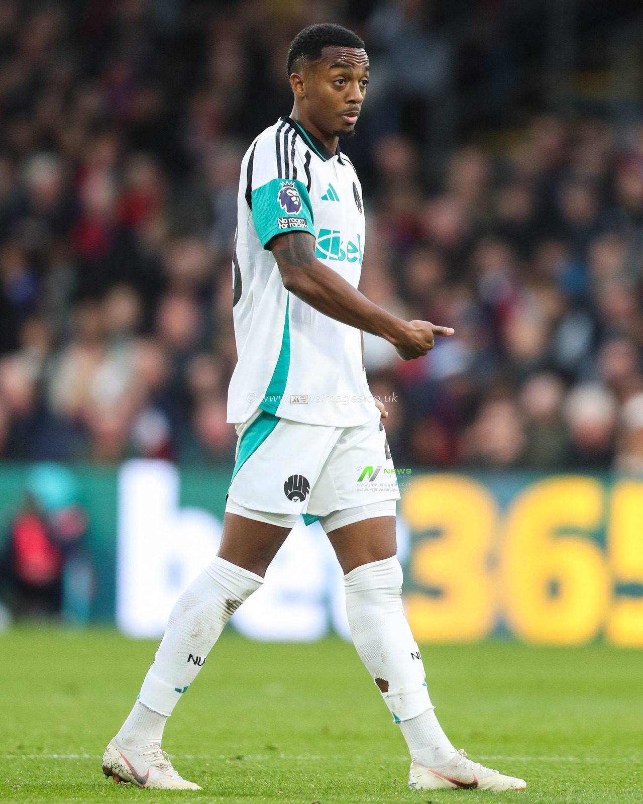Joe Willock of Newcastle United during the Premier League match Crystal Palace vs Newcastle United at Selhurst Park, London, United Kingdom, 30th November 2024

(Photo by Gareth Evans/News Images)