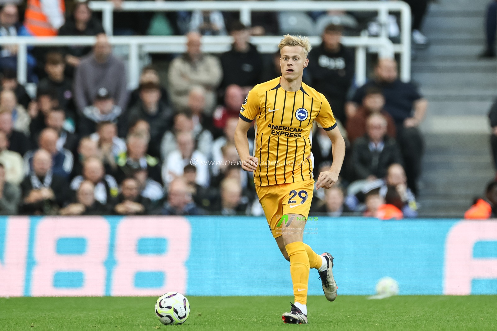 Jan Paul van Hecke of Brighton & Hove Albion with the ball during the Premier League match Newcastle United vs Brighton and Hove Albion at St. James's Park, Newcastle, United Kingdom, 19th October 2024

(Photo by Mark Cosgrove/News Images)