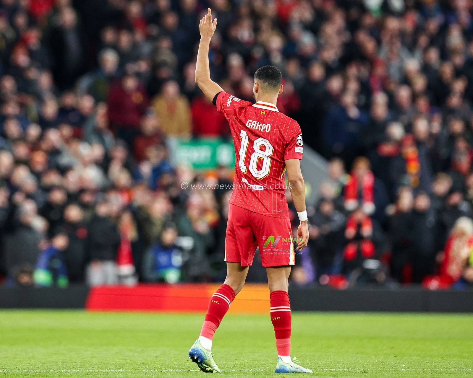 Cody Gakpo of Liverpool celebrates his goal to make it 2-0 during the UEFA Champions League, League Phase MD5 Liverpool v Real Madrid at Anfield, Liverpool, United Kingdom, 27th November 2024

(Photo by Mark Cosgrove/News Images)