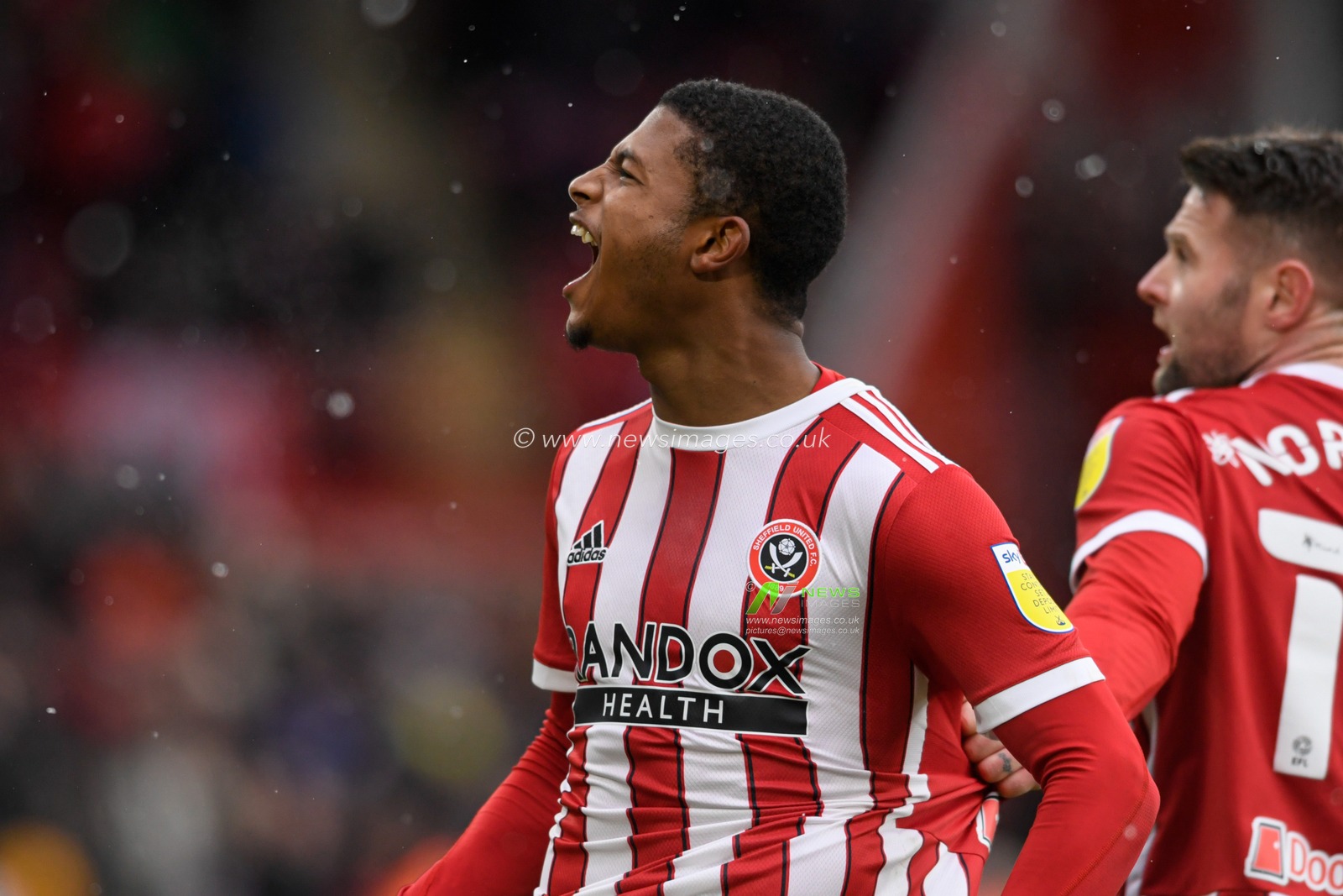 Rhian Brewster #7 of Sheffield United celebrates scoring a goal to make it 1-0