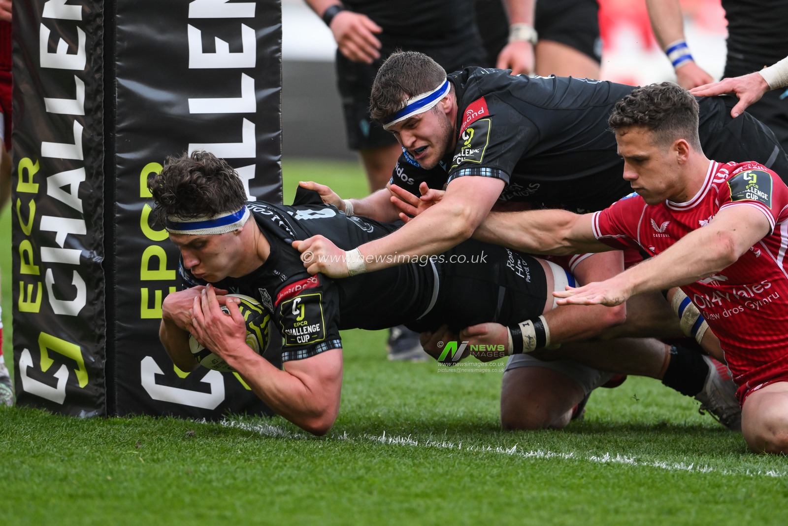 Rory Darge of Glasgow Warriors goes over for a try during the European Challenge Cup Semi-Final match Llanelli Scarlets vs Glasgow Warriors at Parc y Scarlets, Llanelli, United Kingdom, 29th April 2023

(Photo by Craig Thomas/News Images)