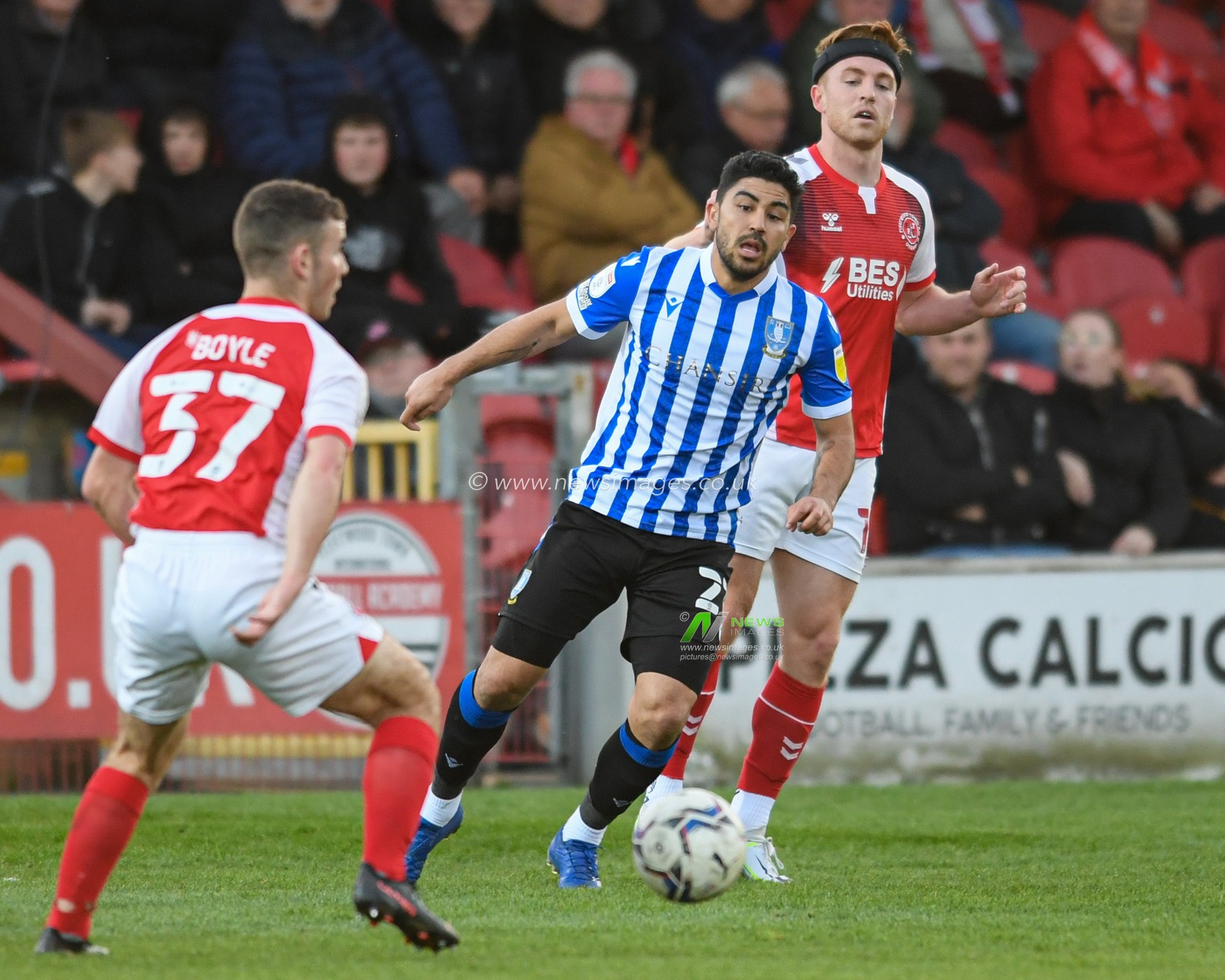Massimo Luongo #21 of Sheffield Wednesday in action during the game