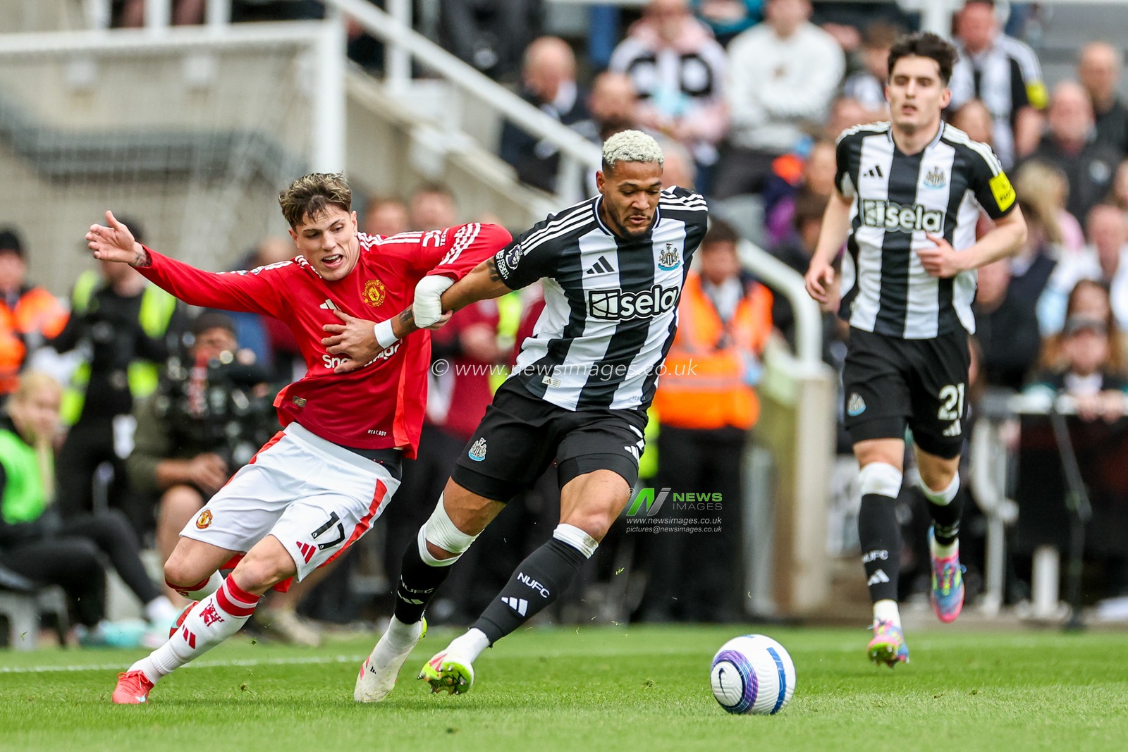 Joelinton of Newcastle United is put under pressure by Alejandro Garnacho of Manchester United during the Premier League match Newcastle United vs Manchester United at St. James's Park, Newcastle, United Kingdom, 13th April 2025

(Photo by Mark Cosgrove/News Images)