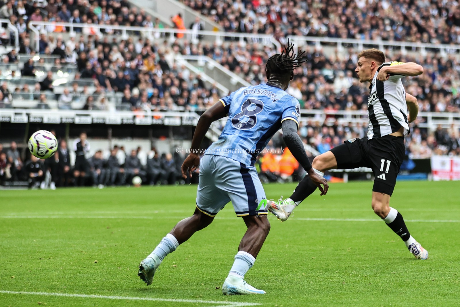 Harvey Barnes of Newcastle United scores a goal to make it 1-0 during the Premier League match Newcastle United vs Tottenham Hotspur at St. James's Park, Newcastle, United Kingdom, 1st September 2024

(Photo by Mark Cosgrove/News Images)