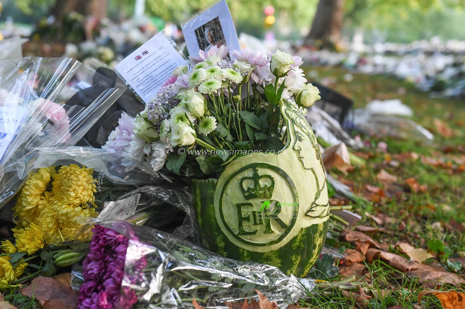 Floral Tributes in Green Park
Day 2 Queens passing at The Green Park, London, United Kingdom, 10th September 2022

(Photo by Mike Jones/News Images)